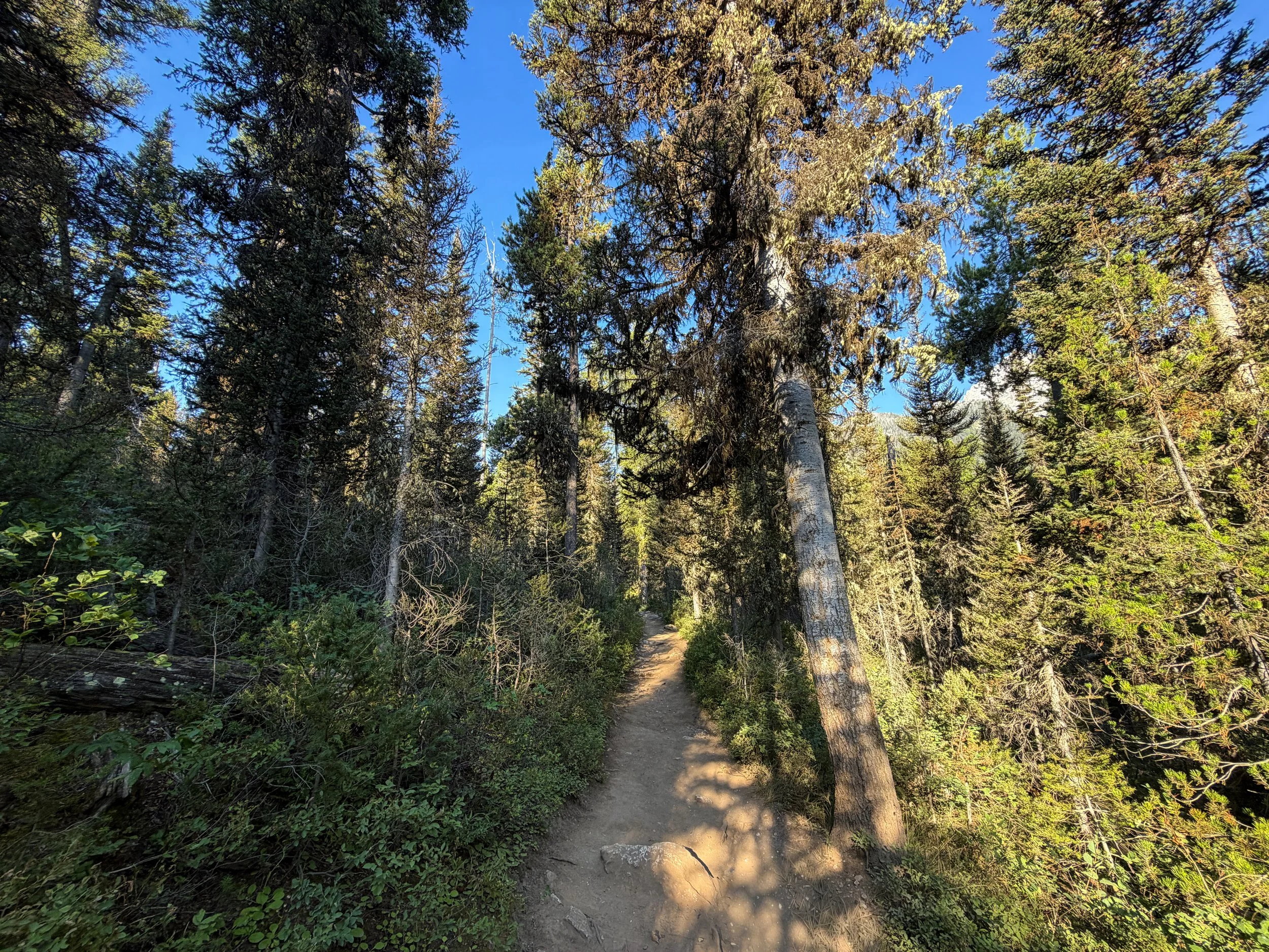 Delta Lake Hike Grand Teton National Park Wyoming