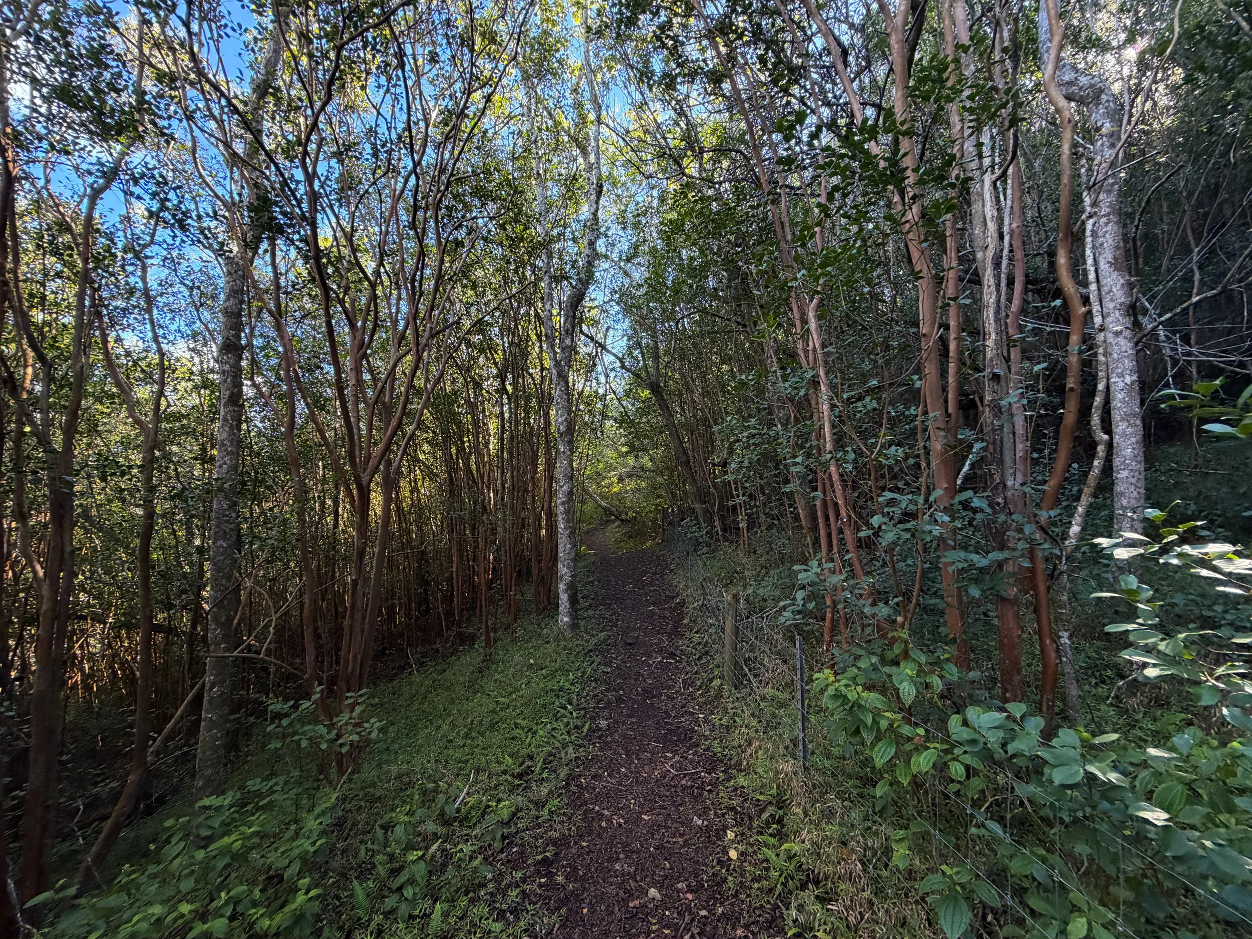 Mokuleia Hike Oahu Hawaii