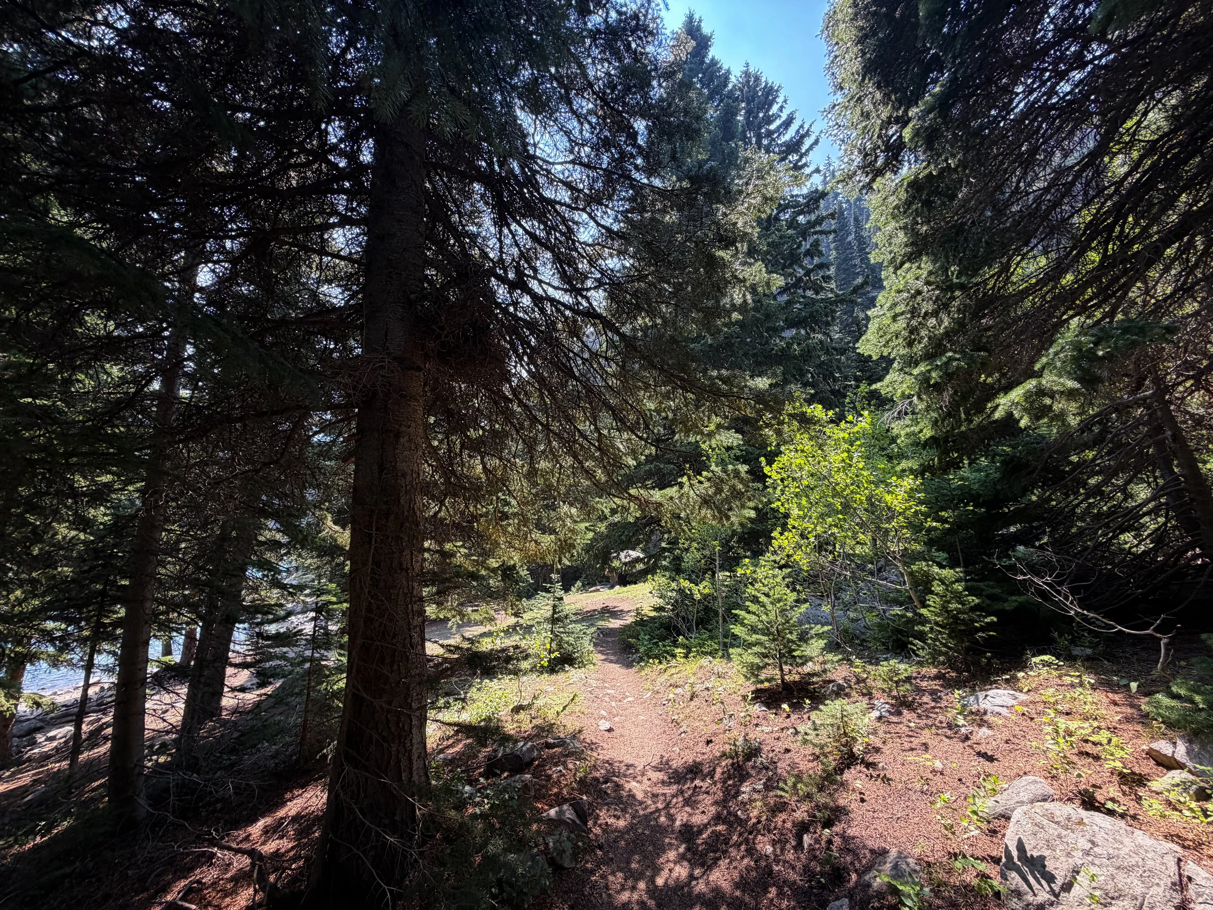 Rimrock Lake Campsites East Rosebud Trail The Beaten Path Beartooth Mountains Montana