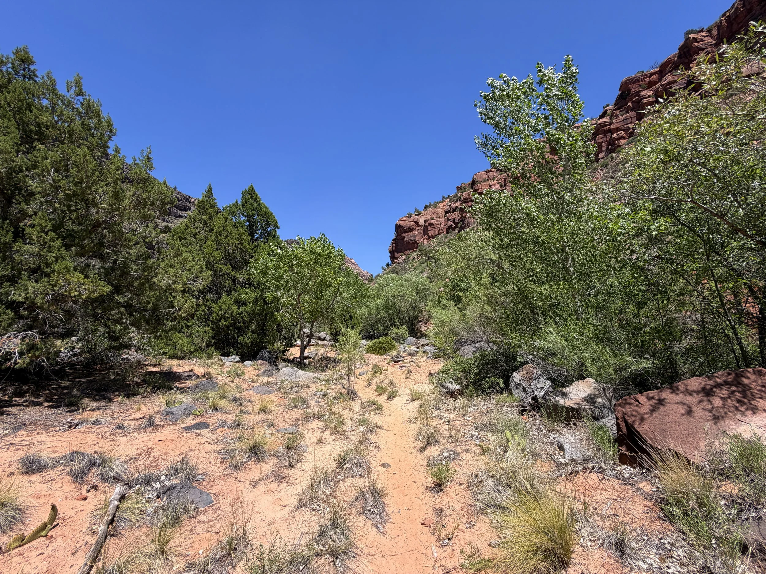 Grapevine Hike to Left Fork Falls Zion National Park Utah