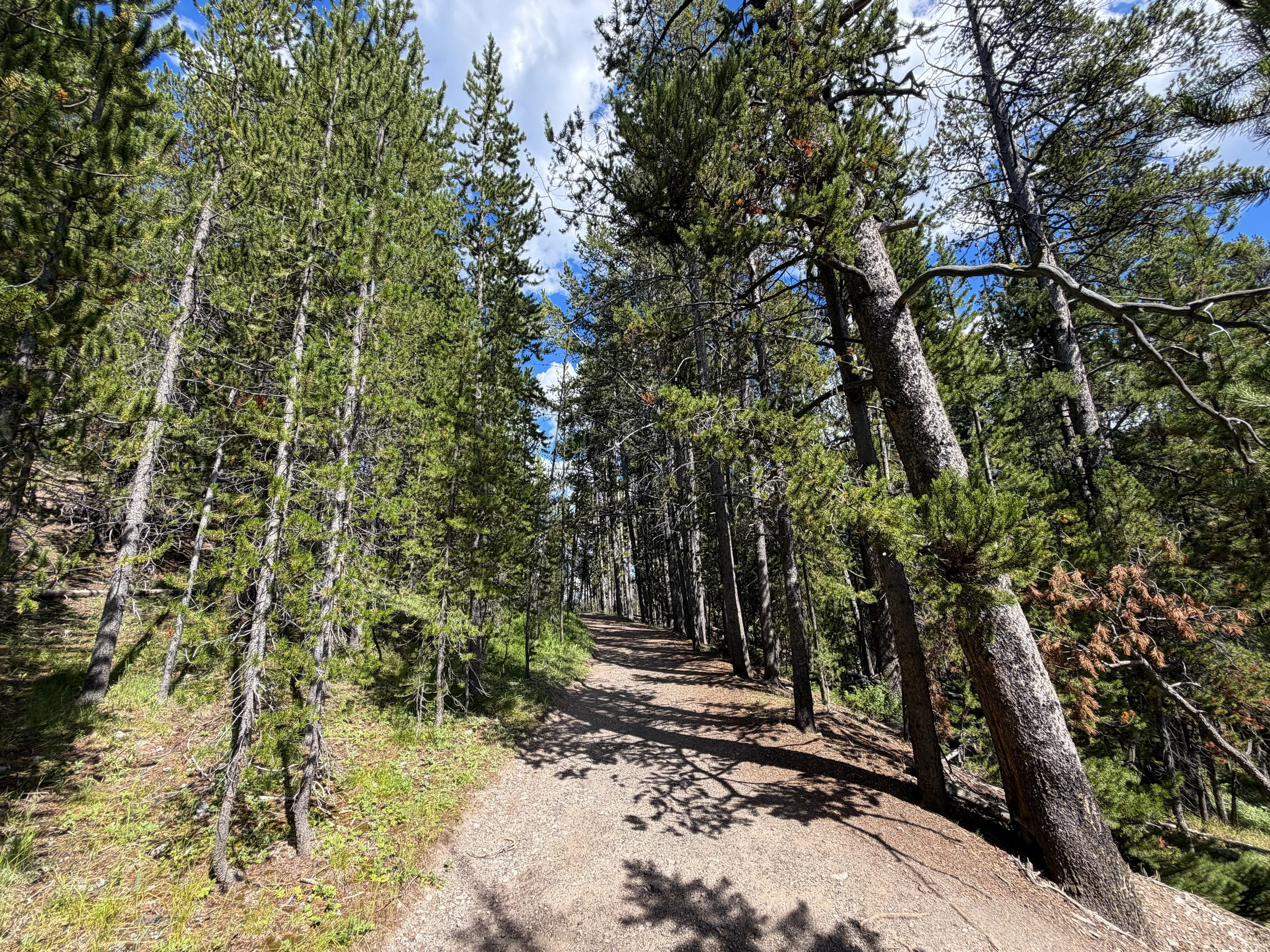 North Rim Trail Yellowstone National Park Wyoming