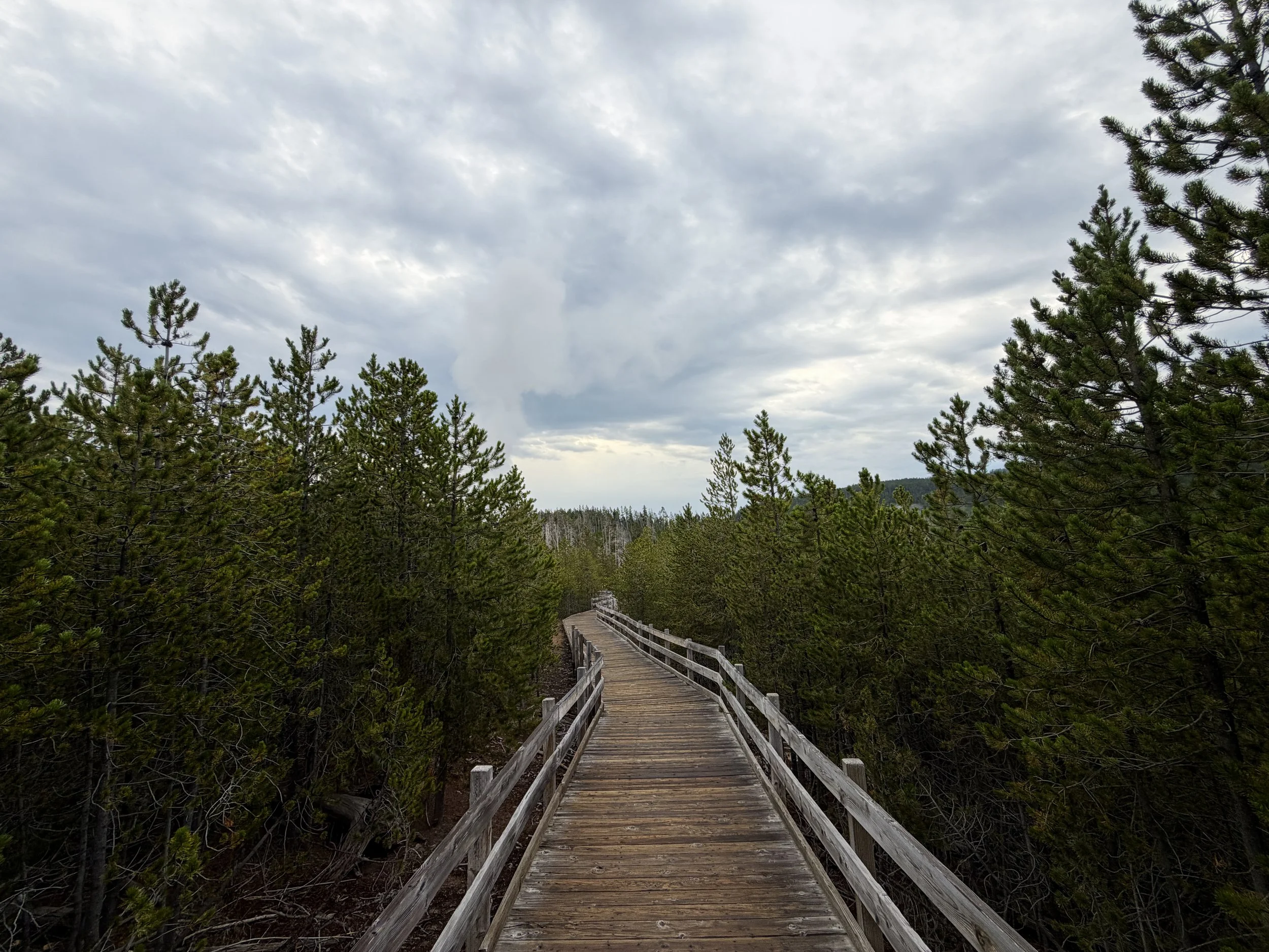 Norris Geyser Basin Trail Yellowstone National Park Wyoming