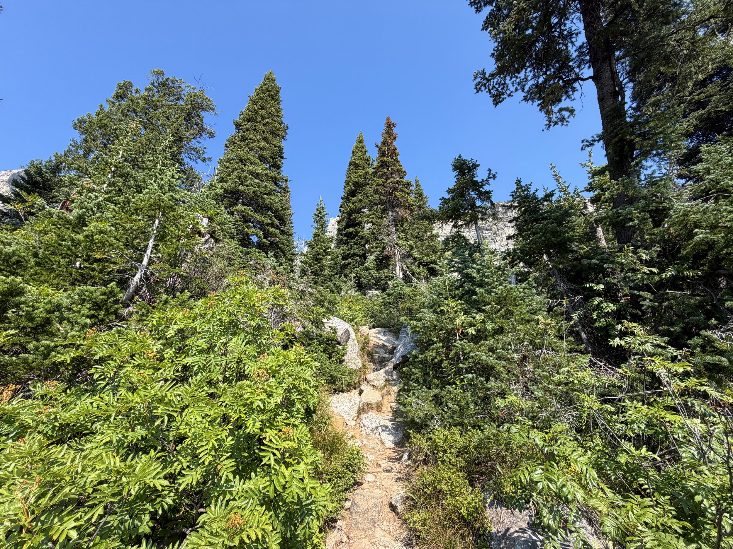 Lake of the Crags Trail via Jenny Lake Grand Teton National Park Wyoming