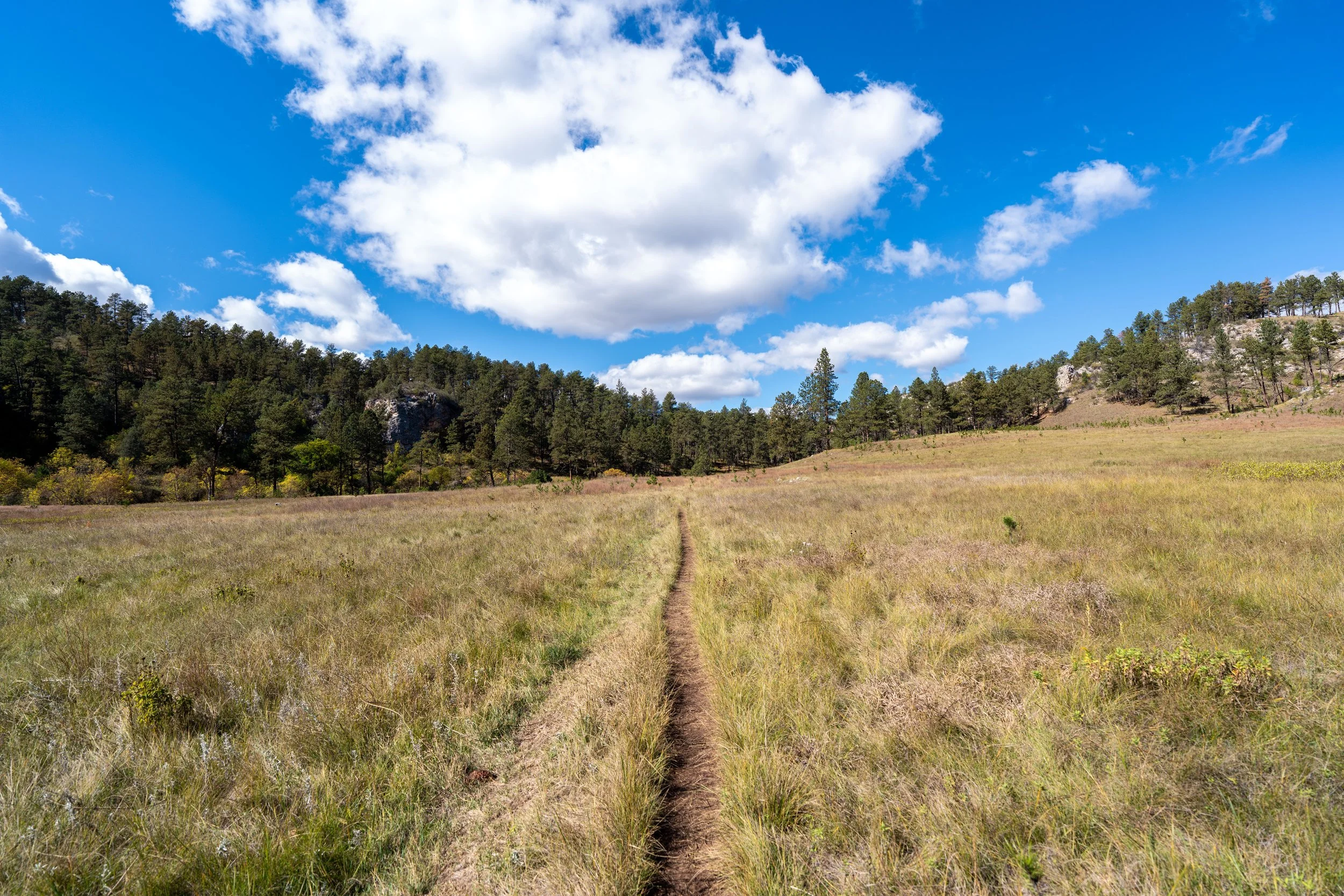 Lookout Point Trail Wind Cave National Park South Dakota