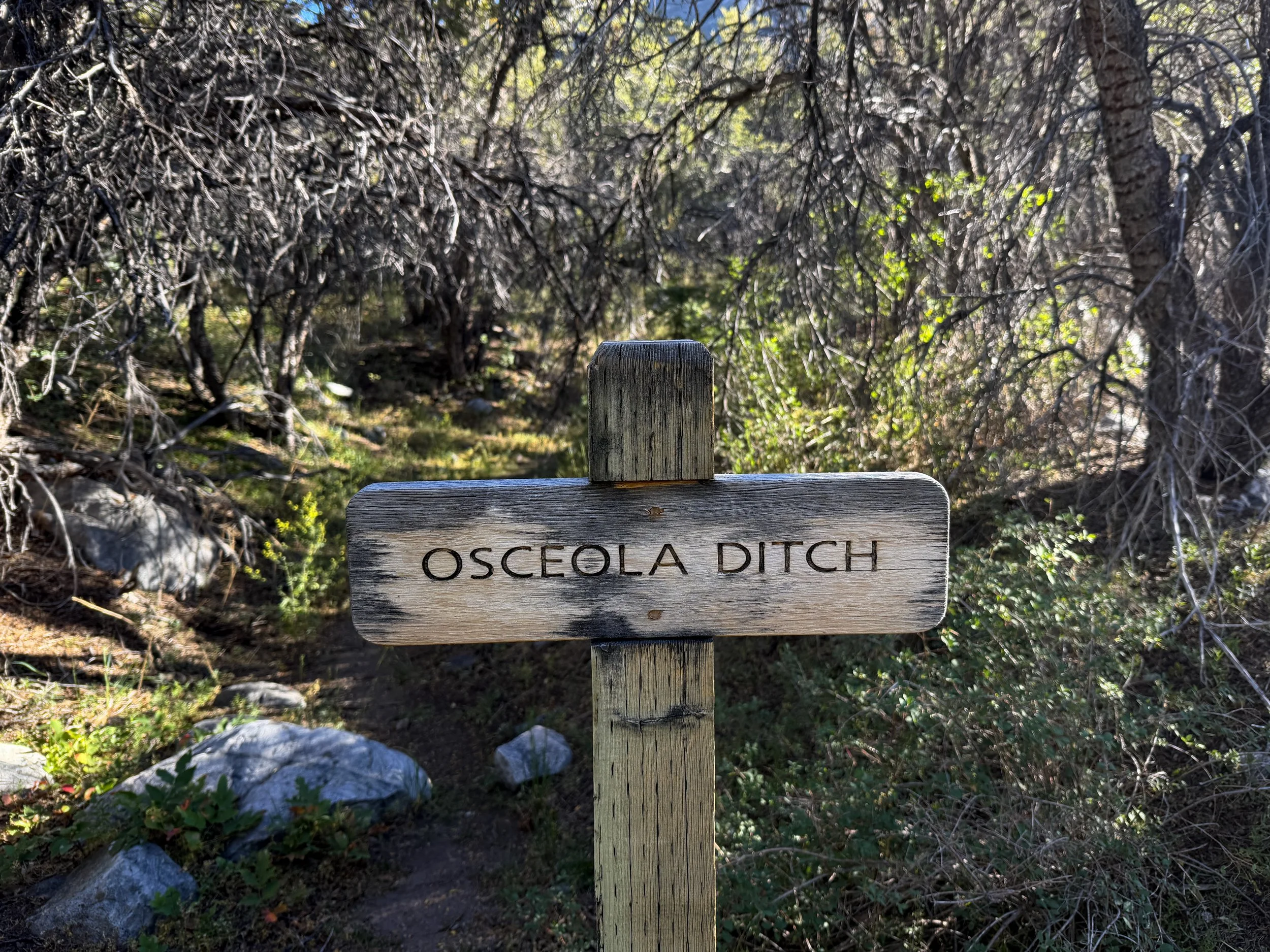 Osceola Ditch Lehman Creek Trail Great Basin National Park Nevada