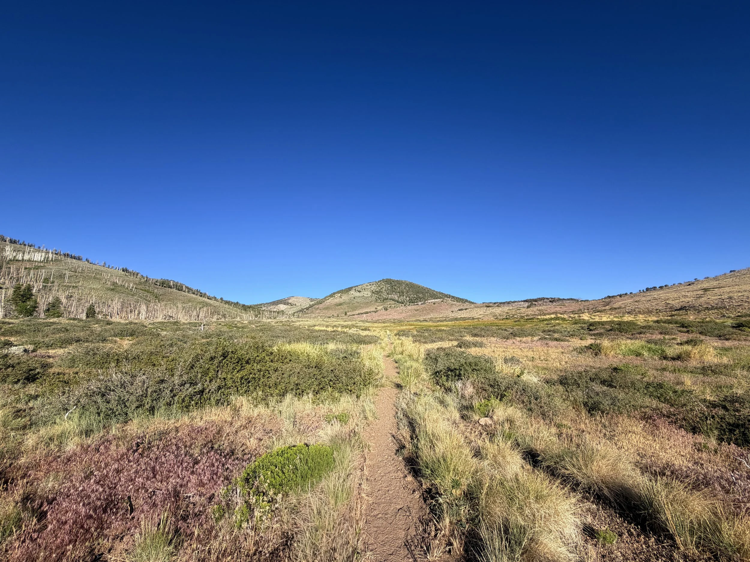 Upper Strawberry Trail Great Basin National Park Nevada