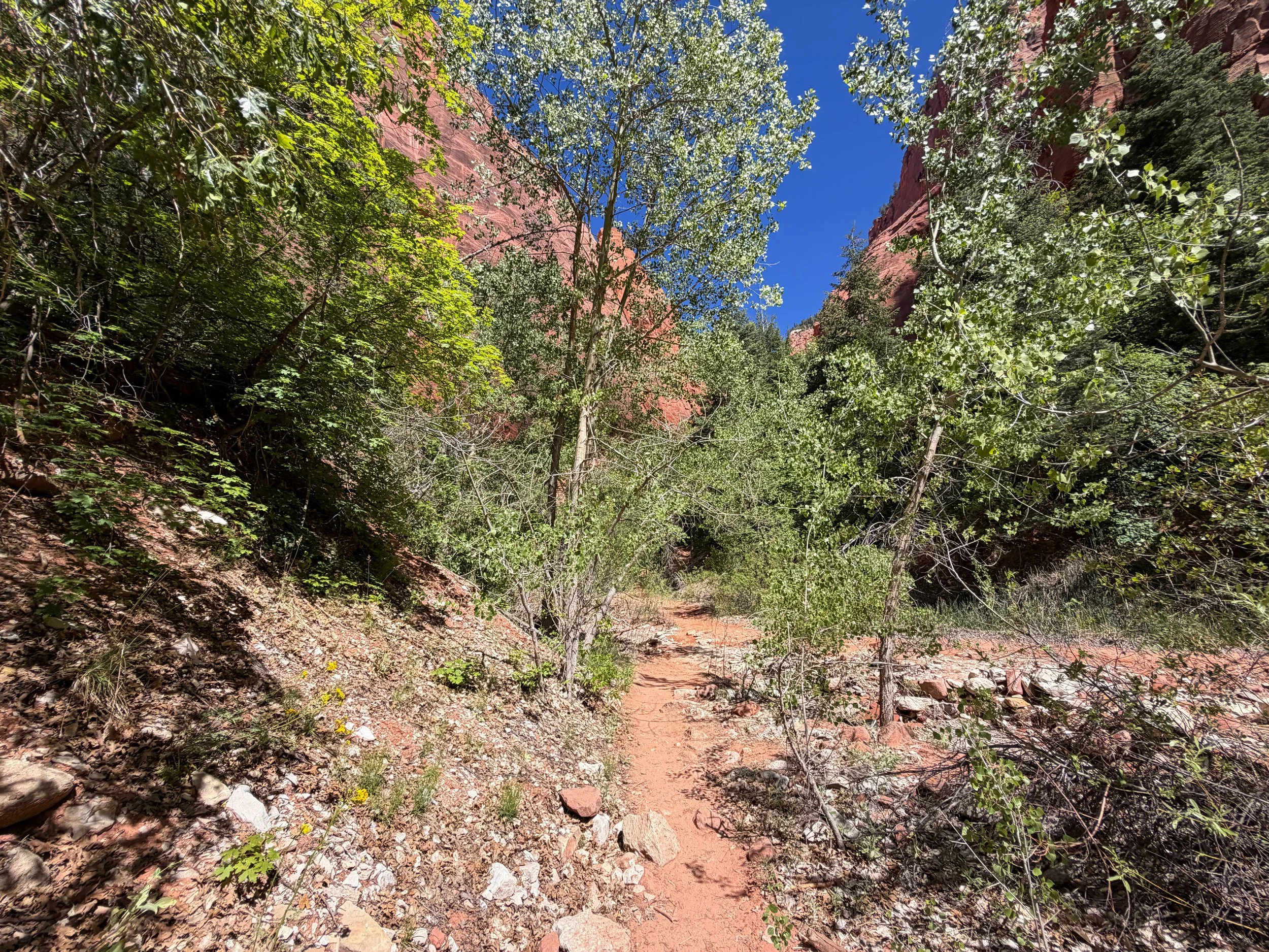 Taylor Creek Trail Zion National Park Utah