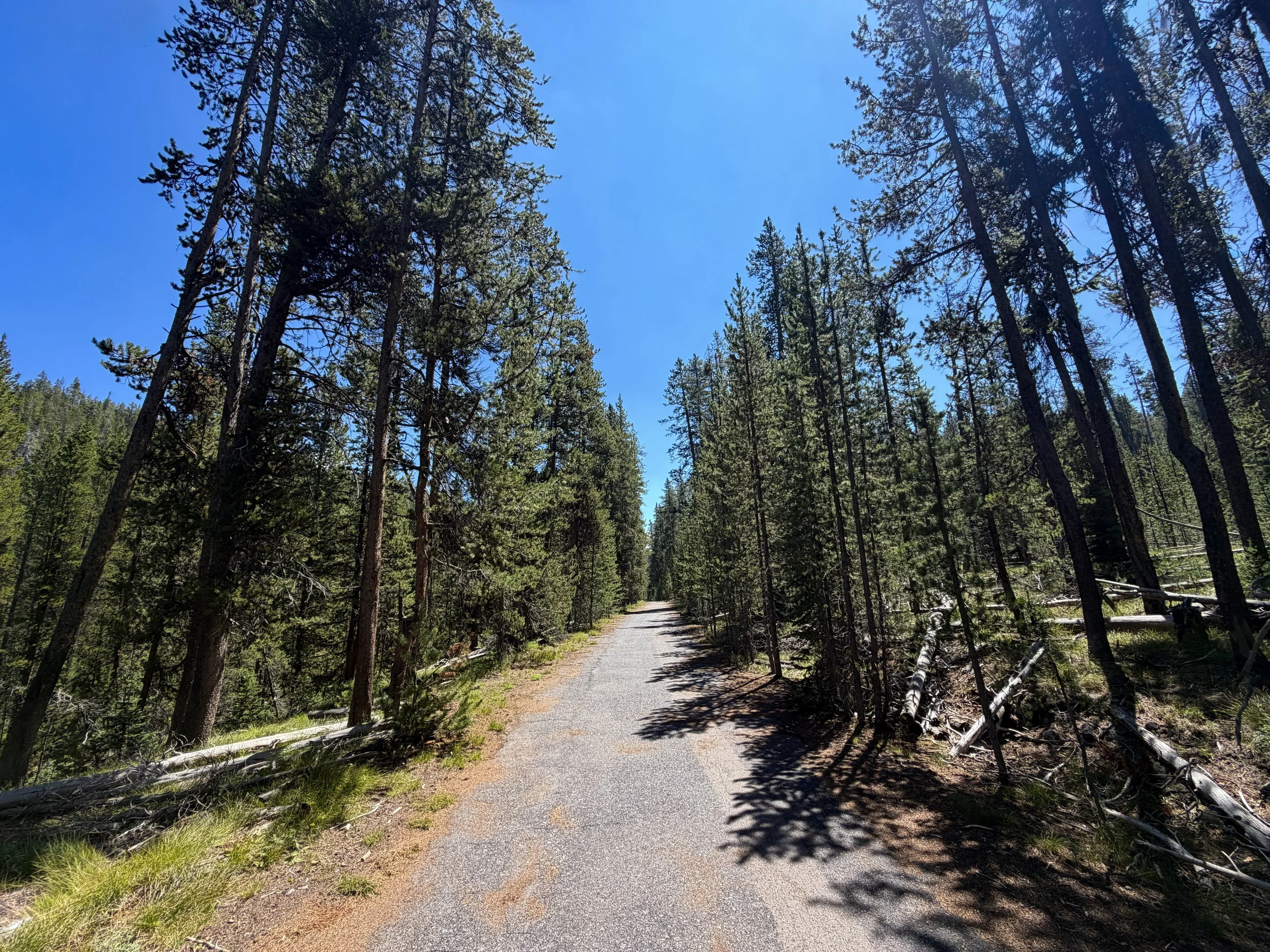 Lone Star Geyser Hike Yellowstone National Park Wyoming