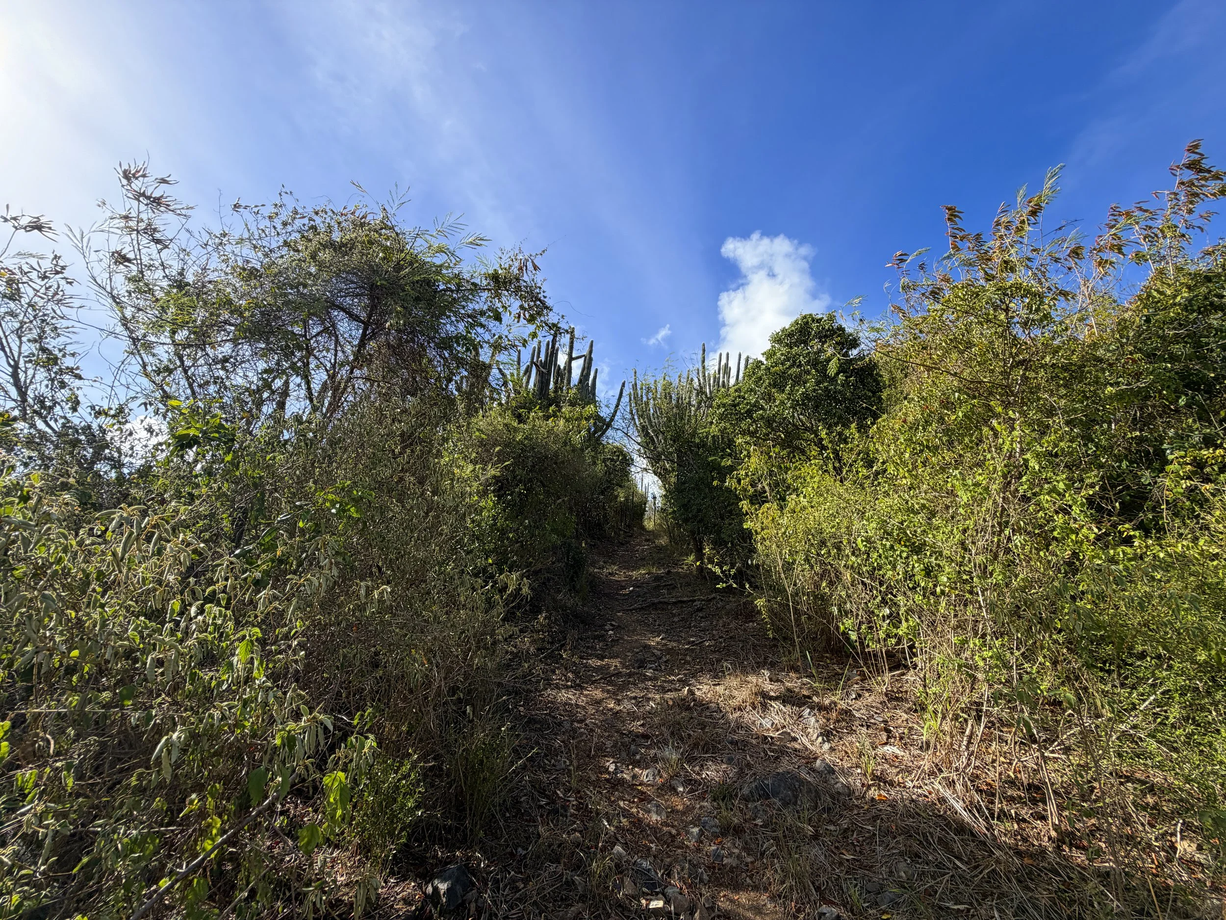 Tektite Trail Virgin Islands National Park