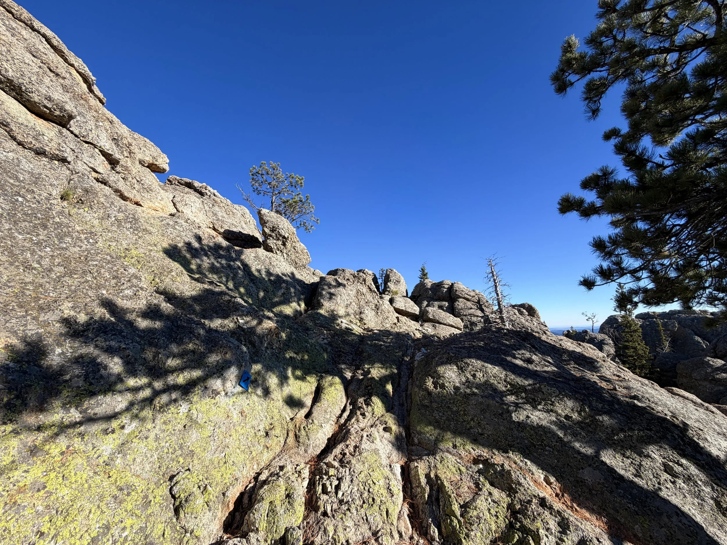 Little Devils Tower Trail Custer State Park Black Hills South Dakota