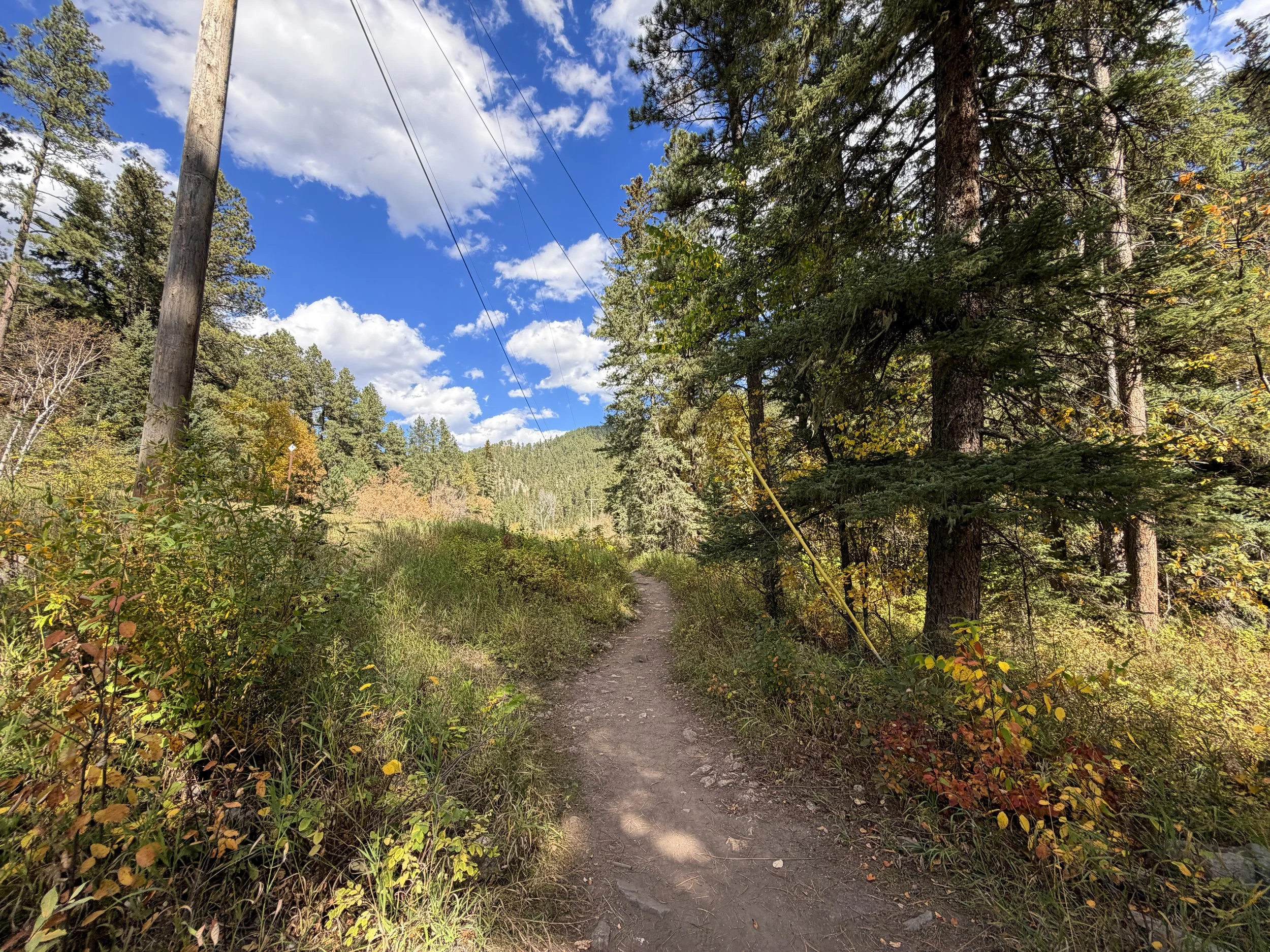 Devils Bathtub Trail Spearfish Canyon Black Hills South Dakota