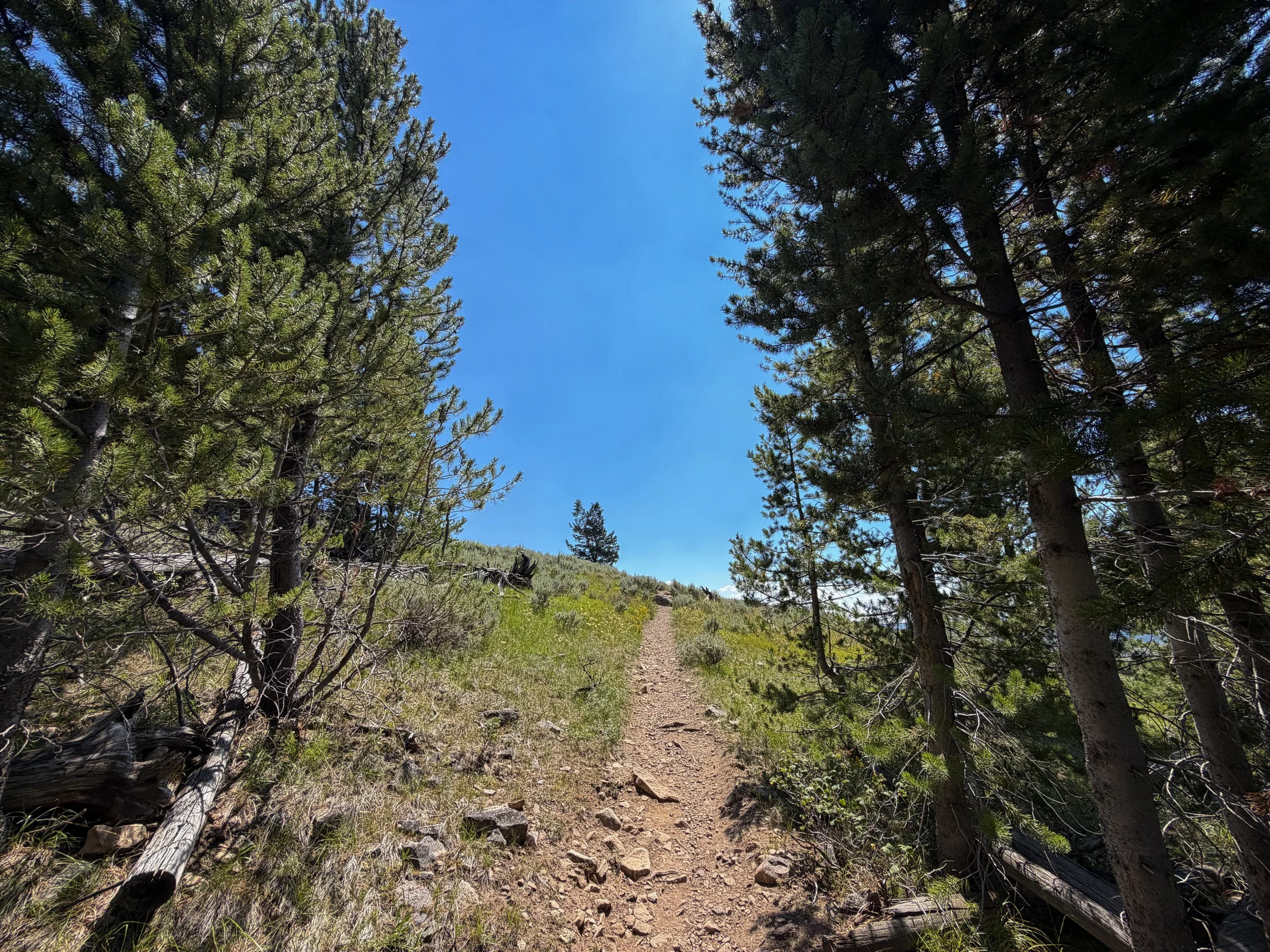 Bunsen Peak Hike Yellowstone National Park Wyoming
