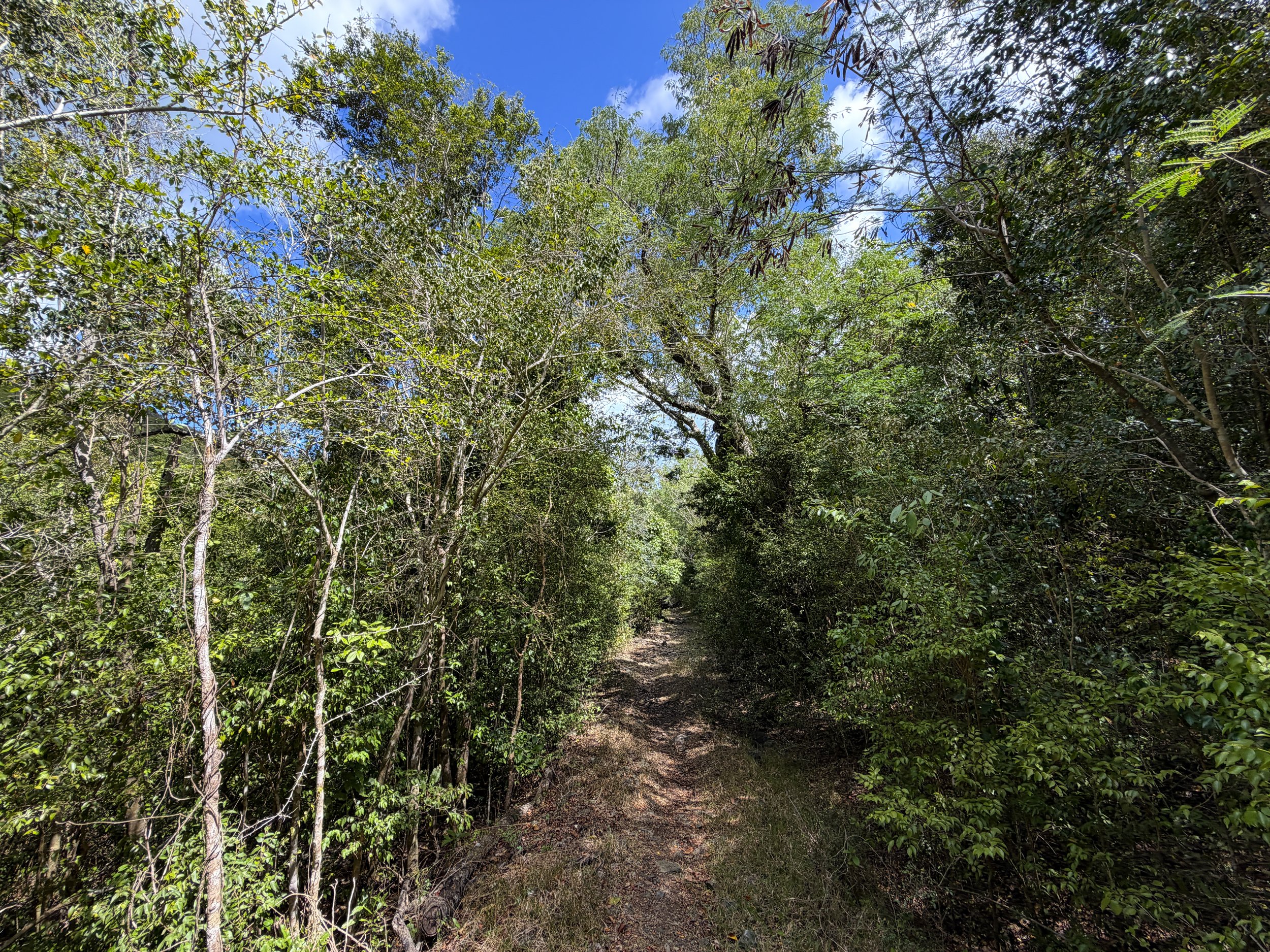 Johnny Horn Trail Virgin Islands National Park