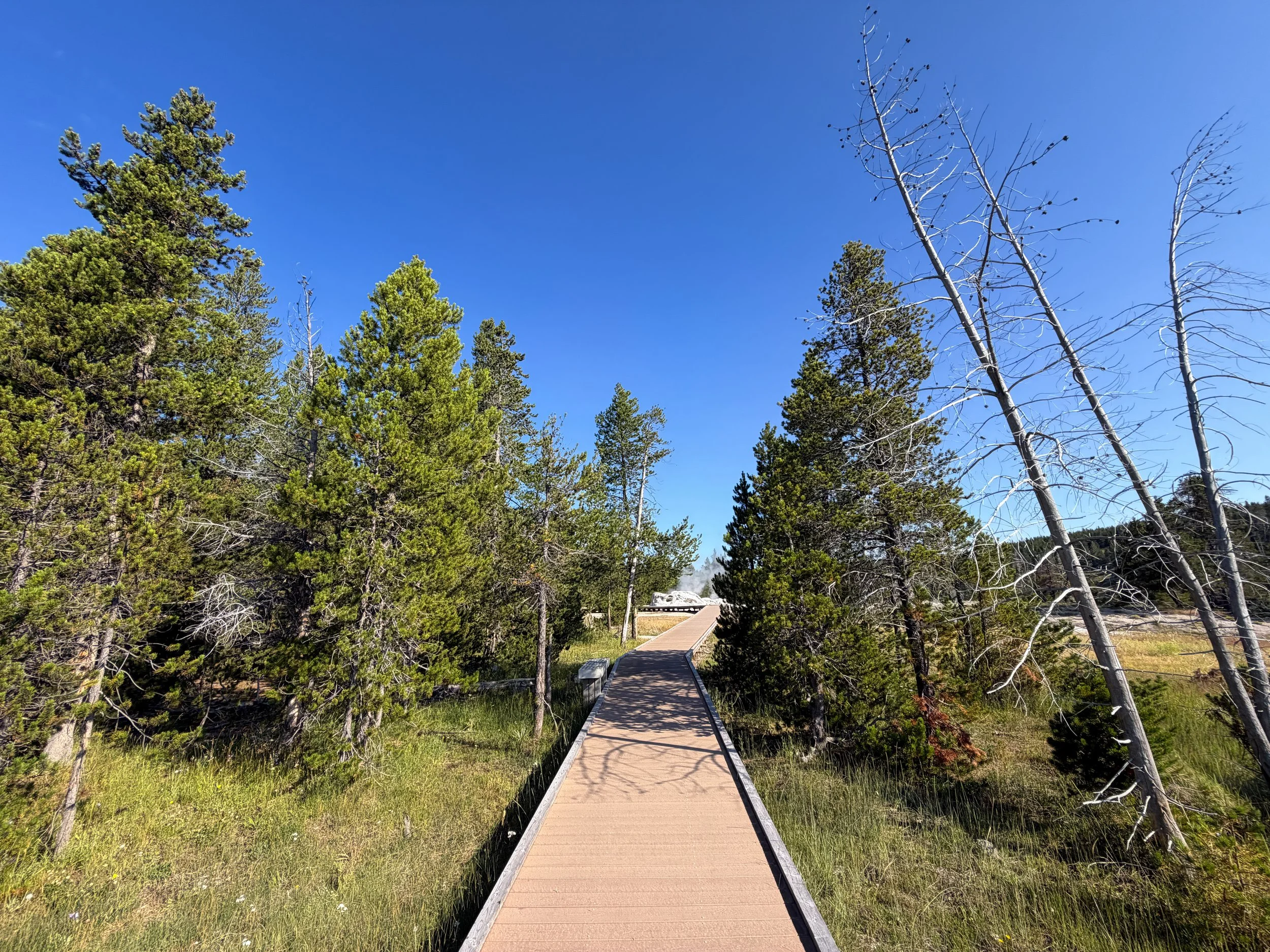 Upper Geyser Basin Trail Yellowstone National Park Wyoming