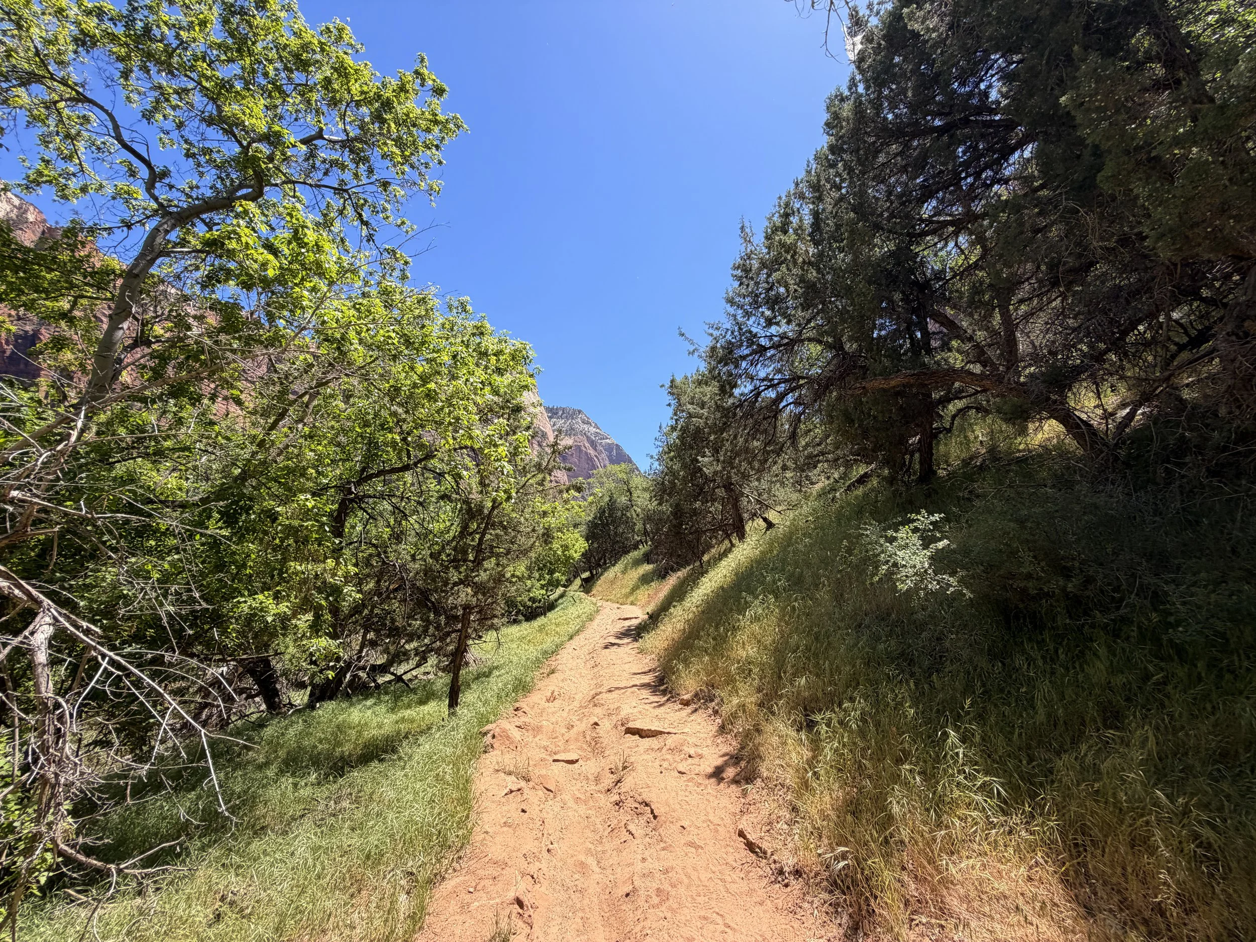 Sand Bench Trail via Zion Lodge Zion National Park Utah
