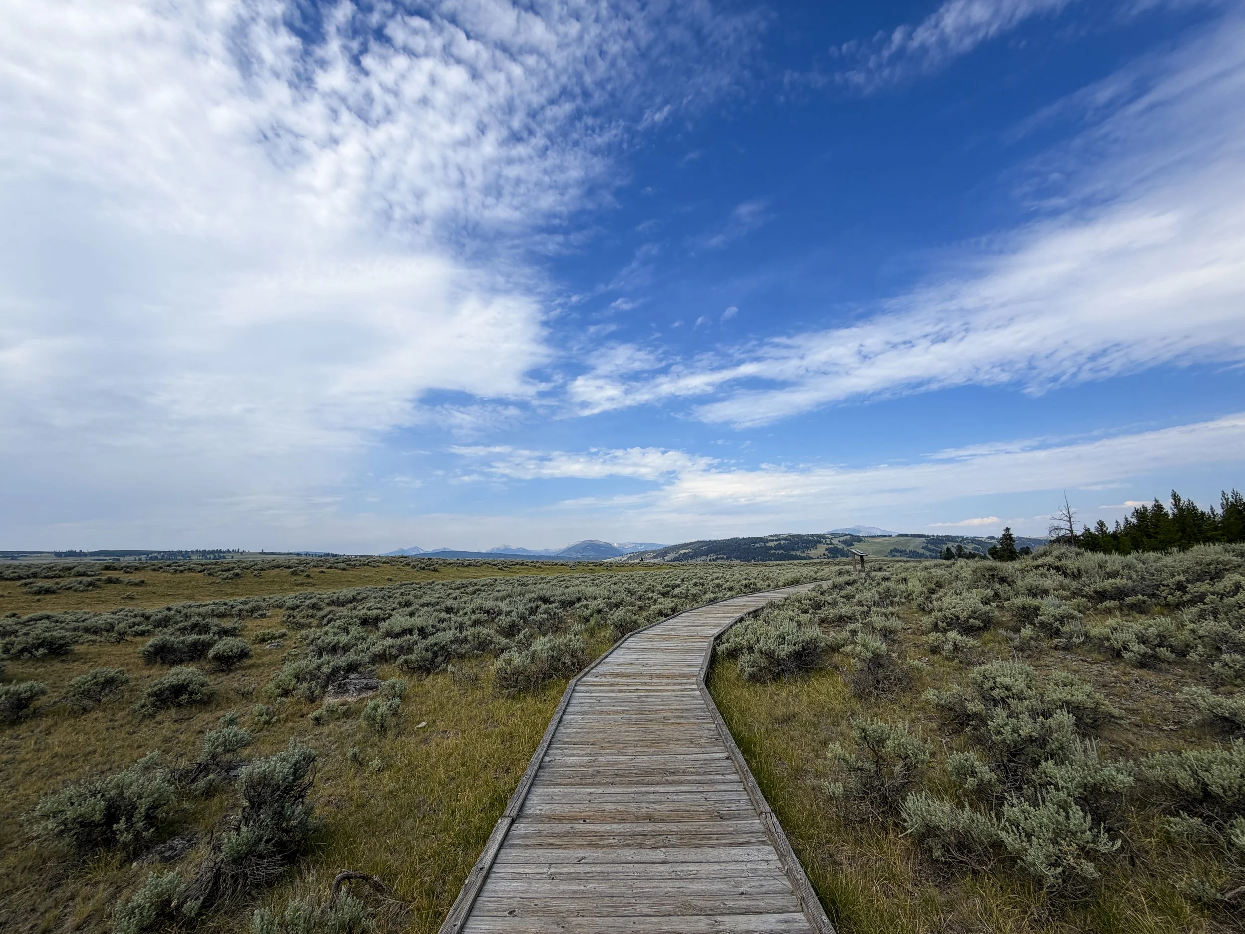 Forces of the Northern Range Trail Yellowstone National Park Wyoming
