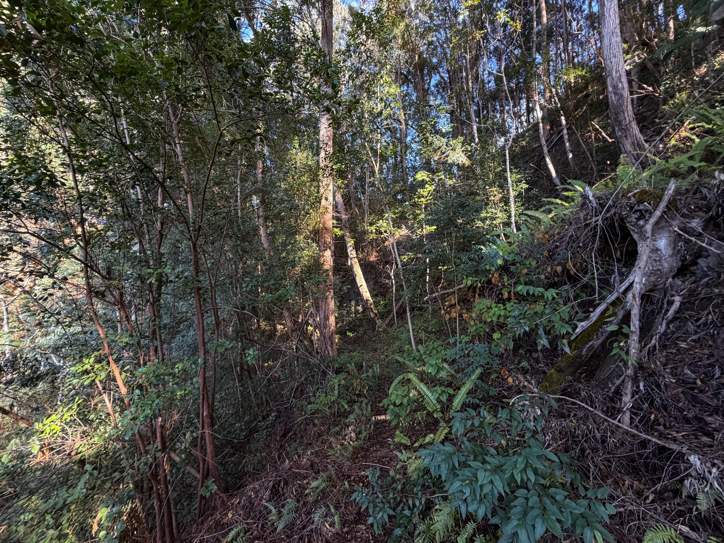 Mokuleia Trail Peacock Flats Oahu Hawaii