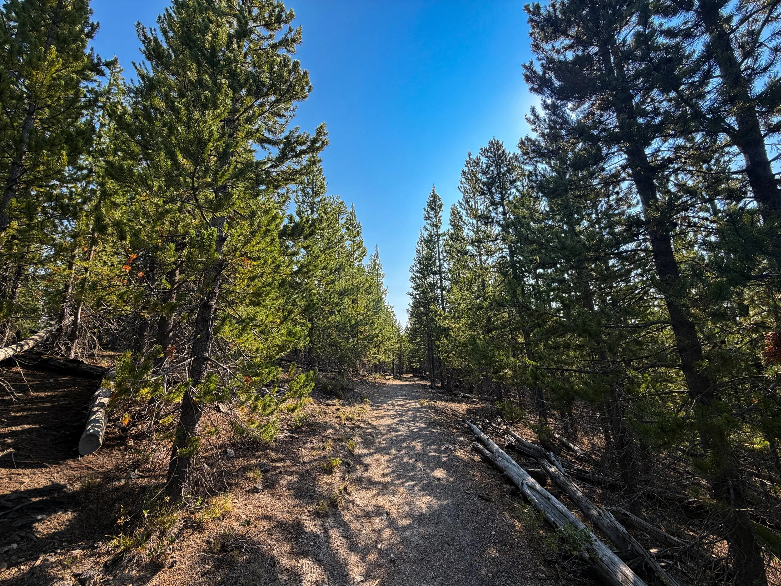 Mystic Falls Loop Trail Yellowstone National Park Wyoming