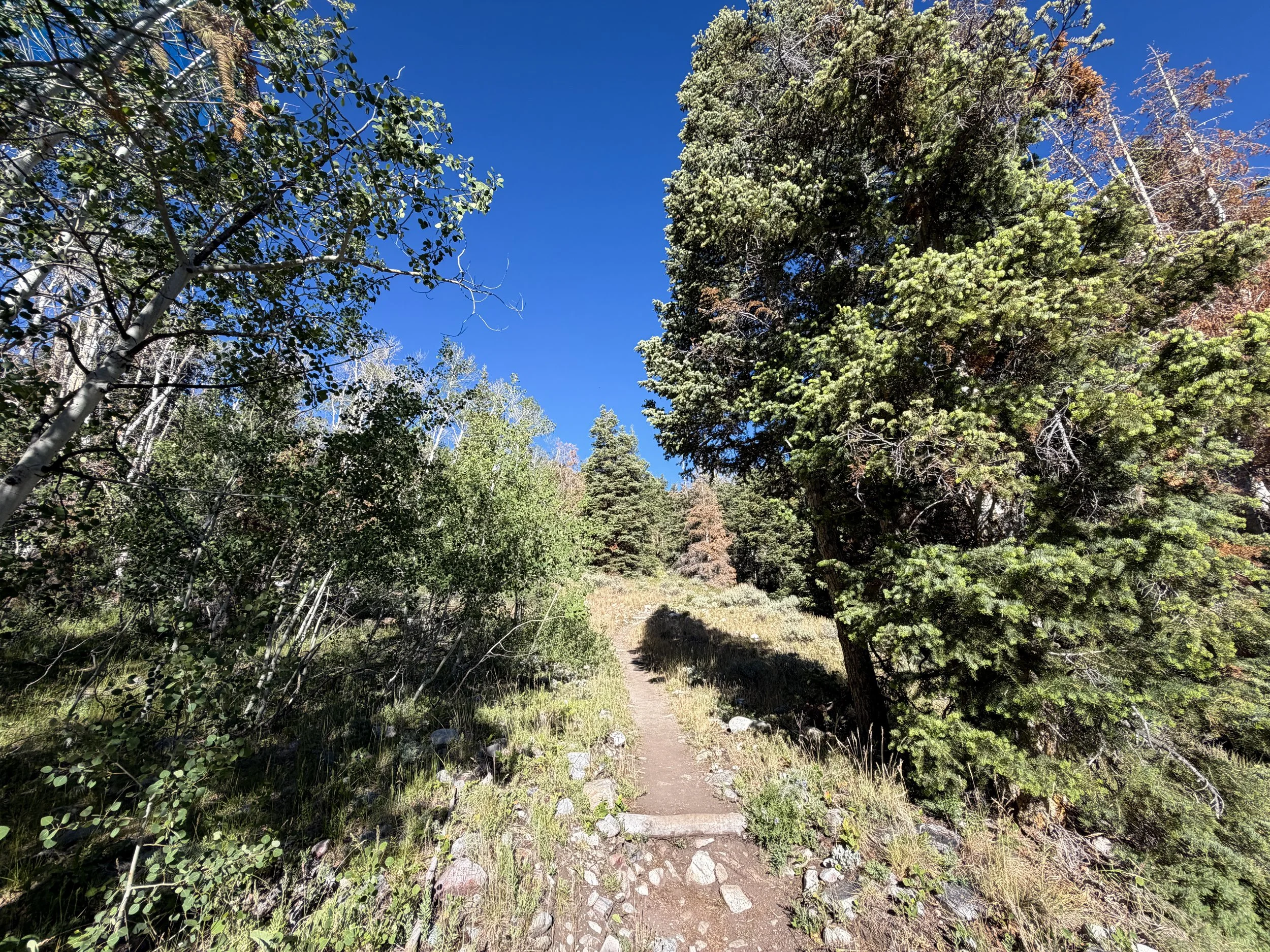 Baker Lake Trail Great Basin National Park Nevada