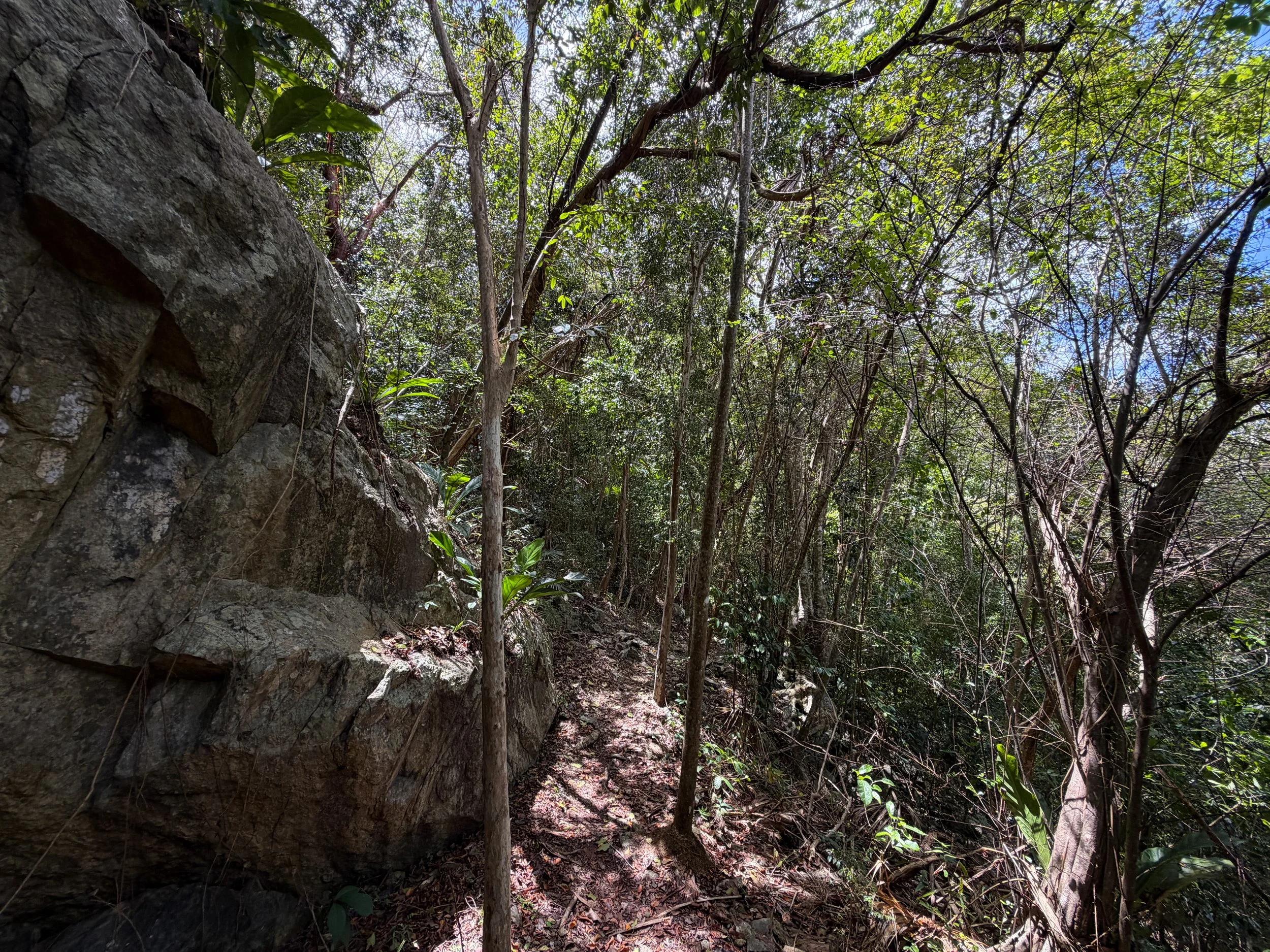 Maria Hope Trail Virgin Islands National Park