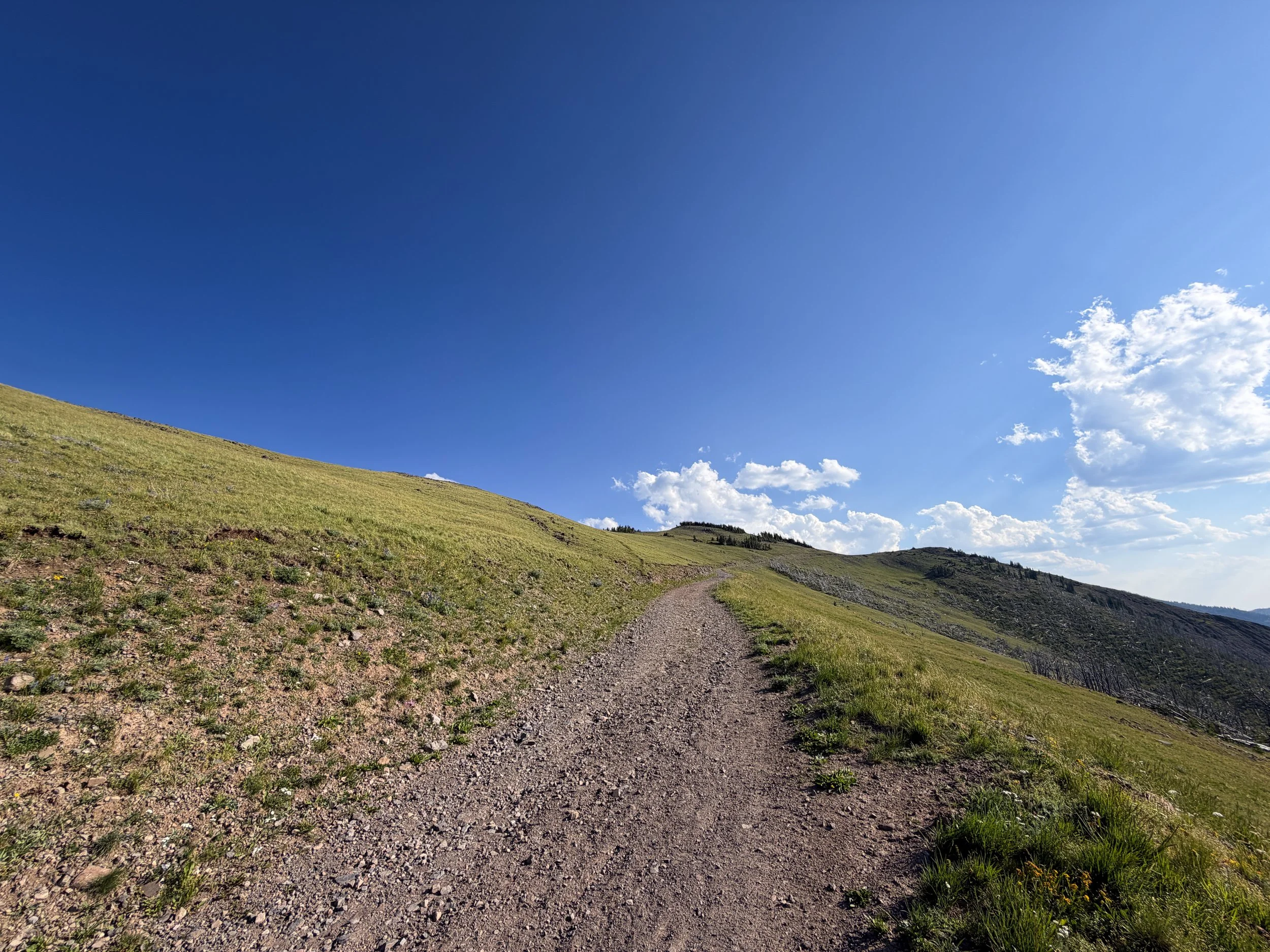 Mt. Washburn via Chittenden Road Yellowstone National Park Wyoming
