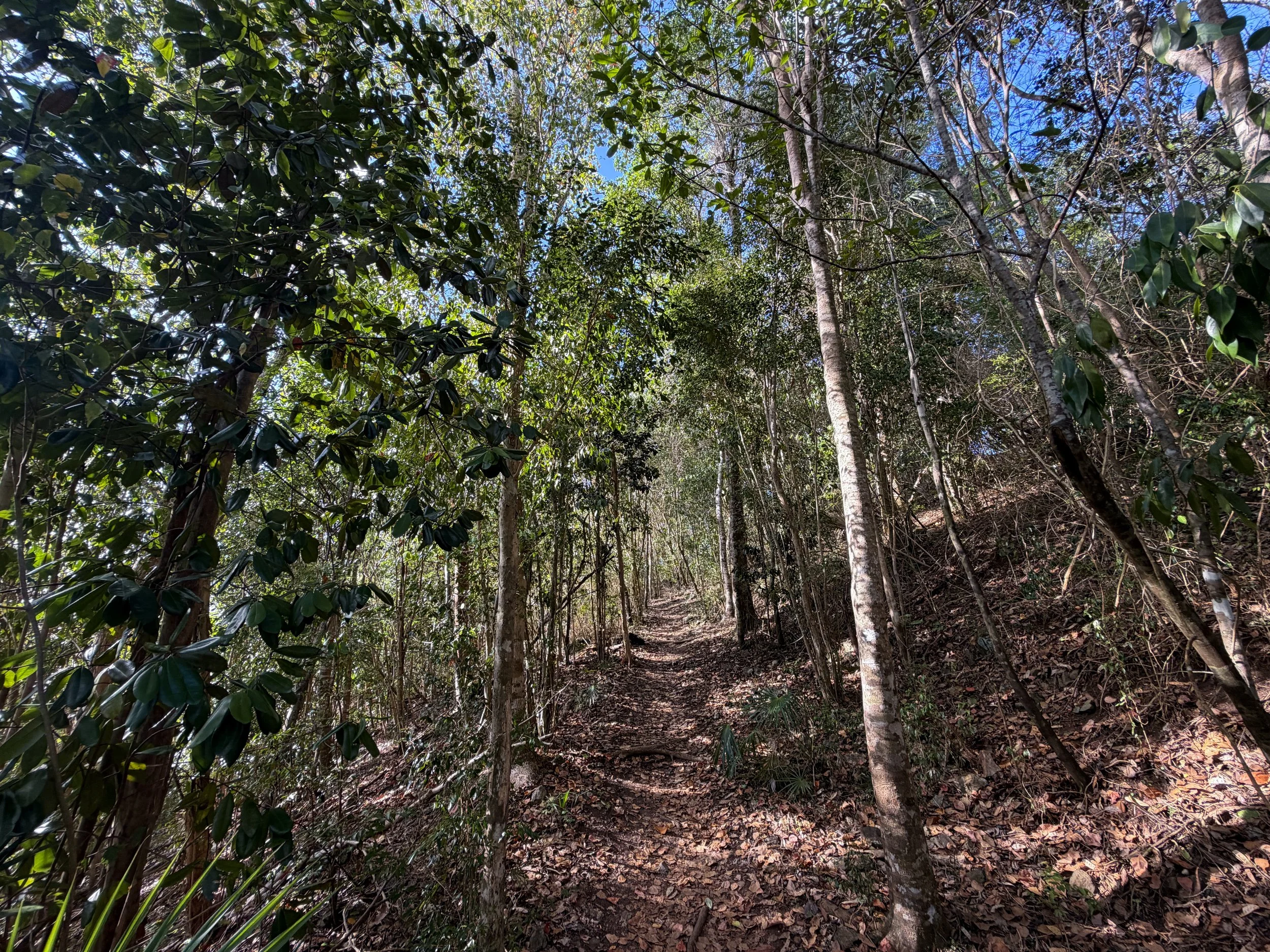 America Hill Trail Virgin Islands National Park