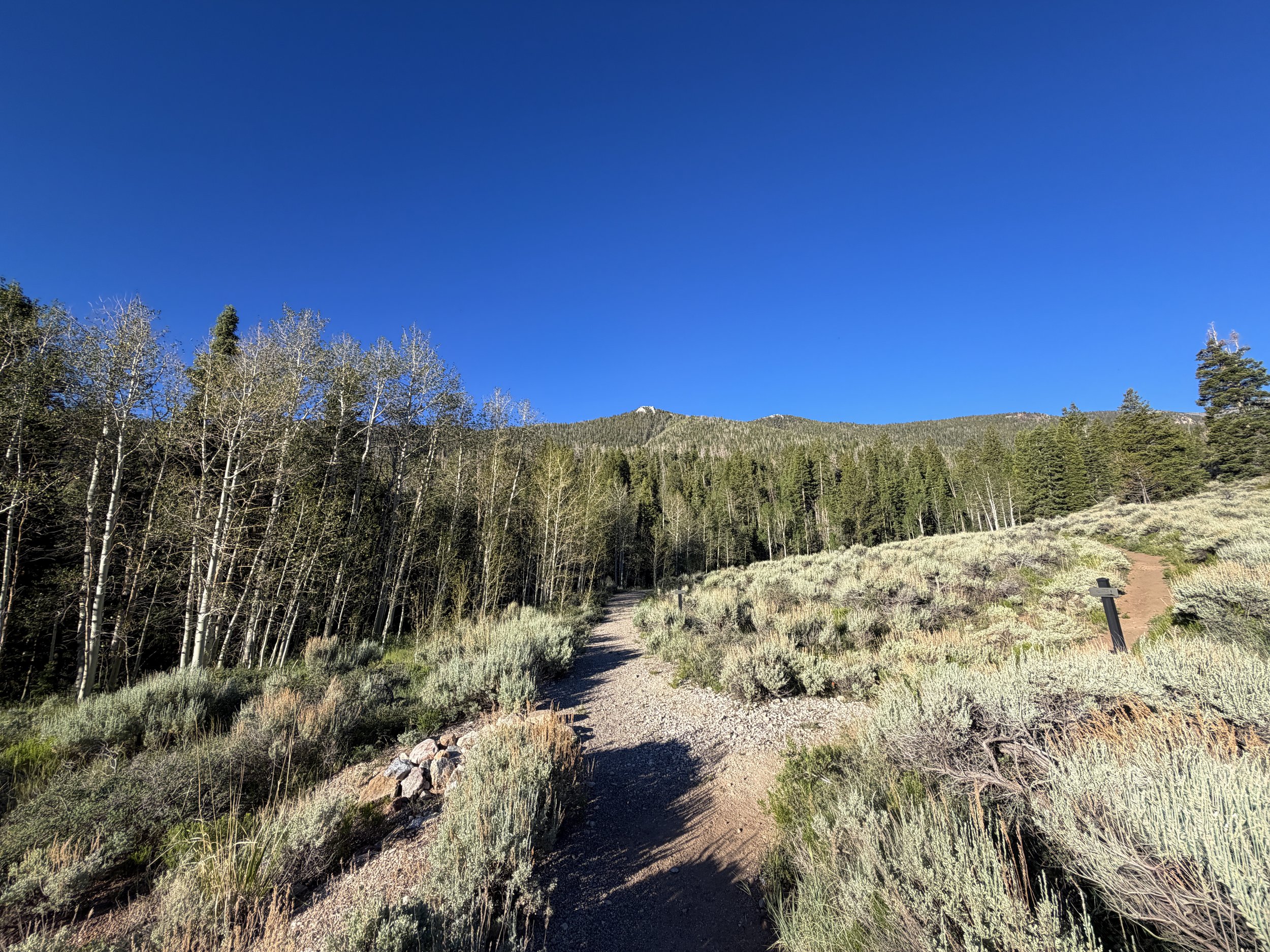 Snake Divide Trail Great Basin National Park Nevada