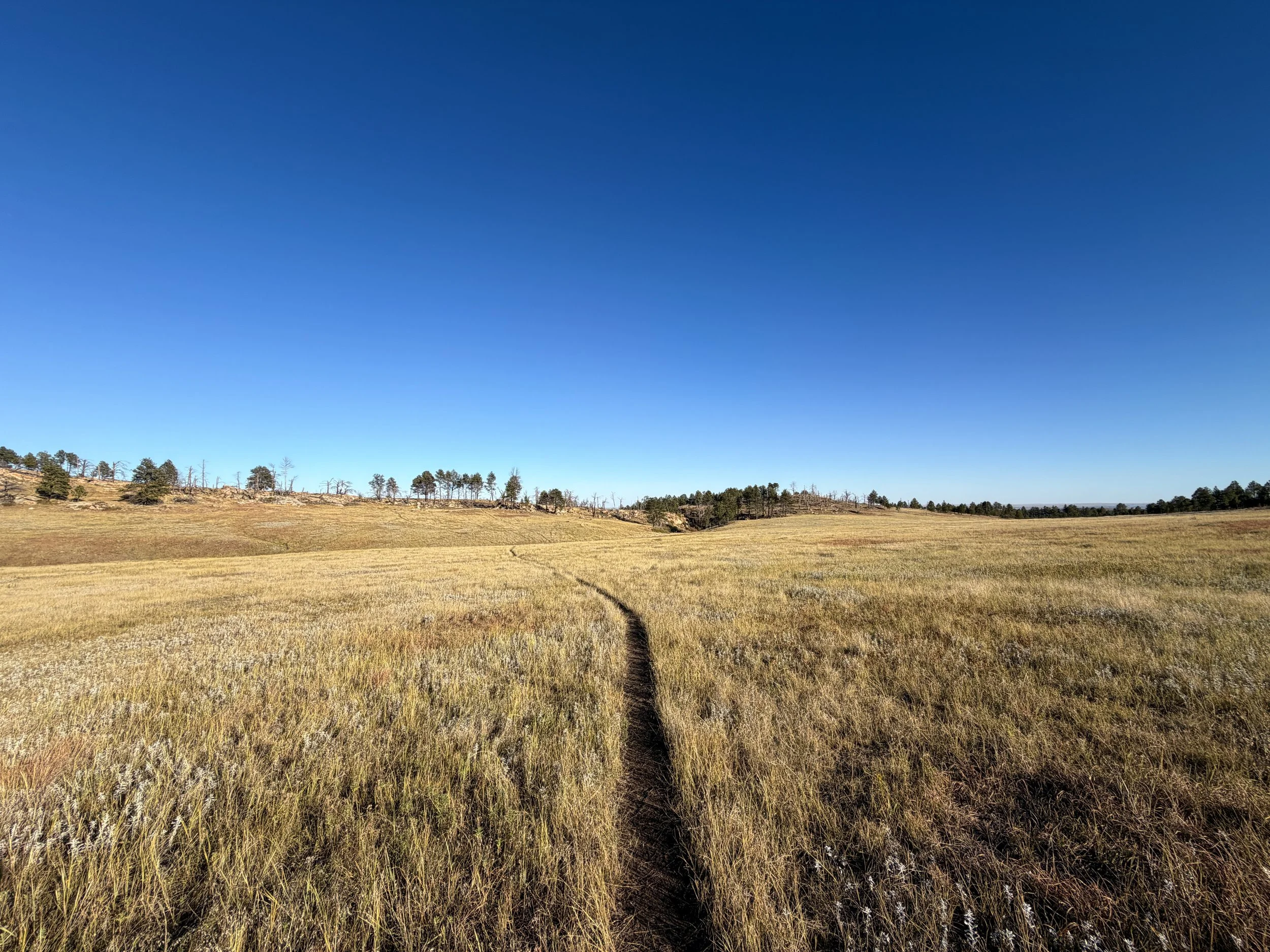 Boland Ridge Trail Wind Cave National Park South Dakota