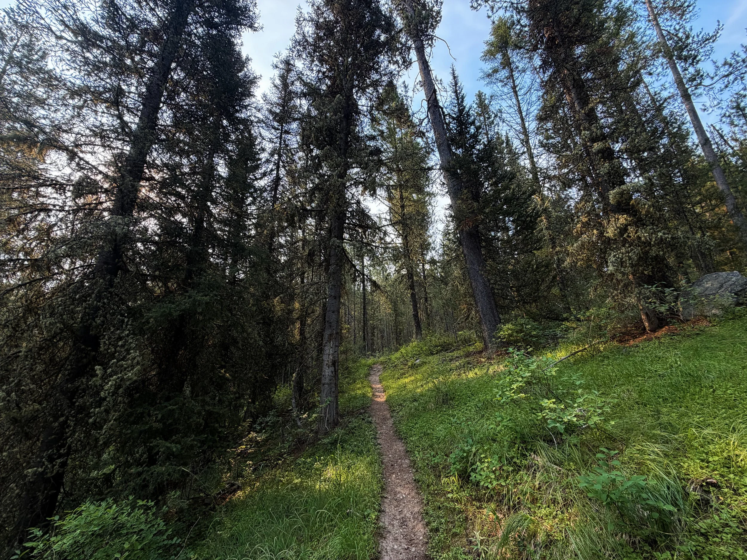 Aspen–Boulder Ridge Loop Trail Grand Teton National Park Wyoming
