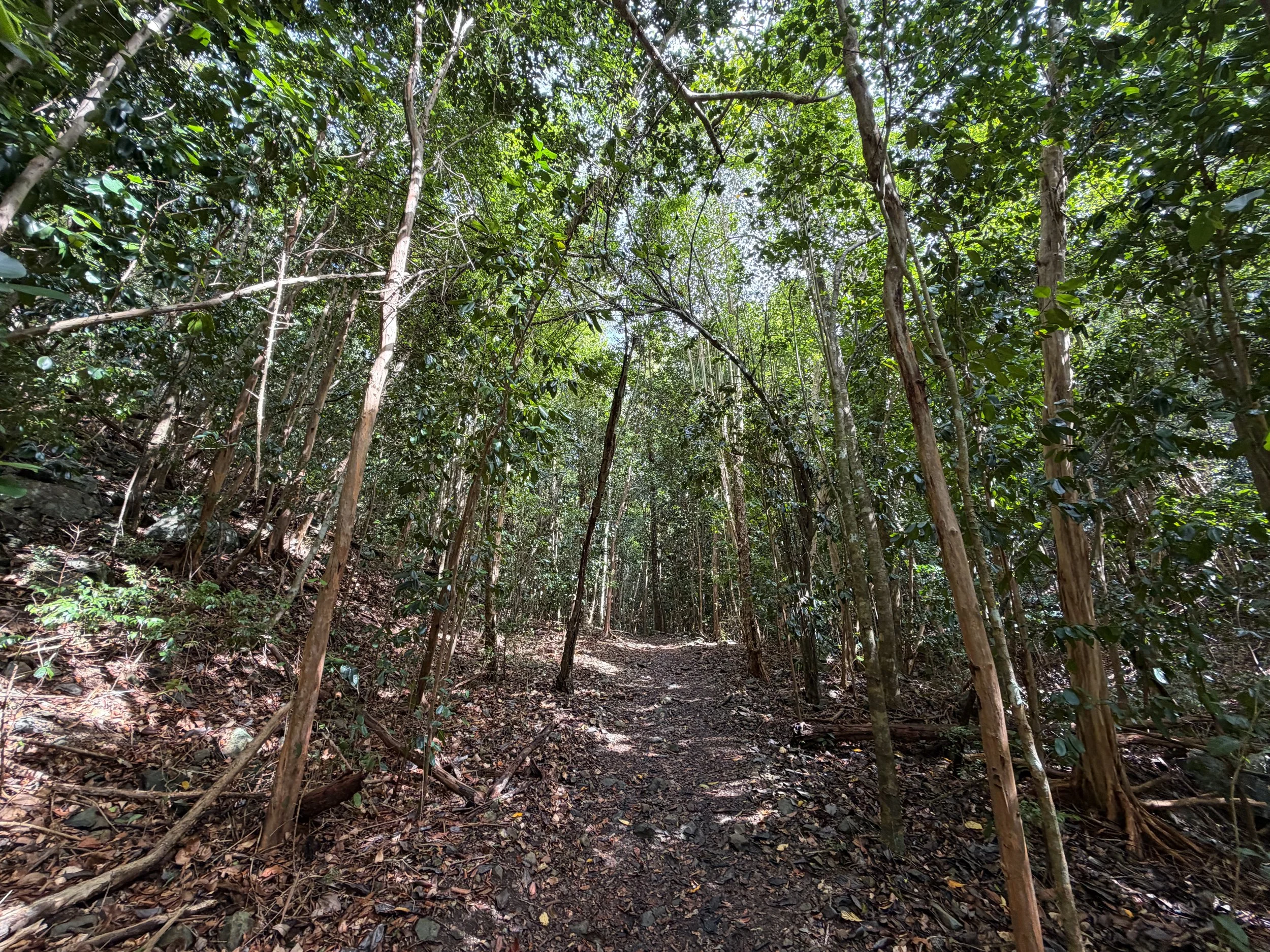 America Hill Hike Virgin Islands National Park