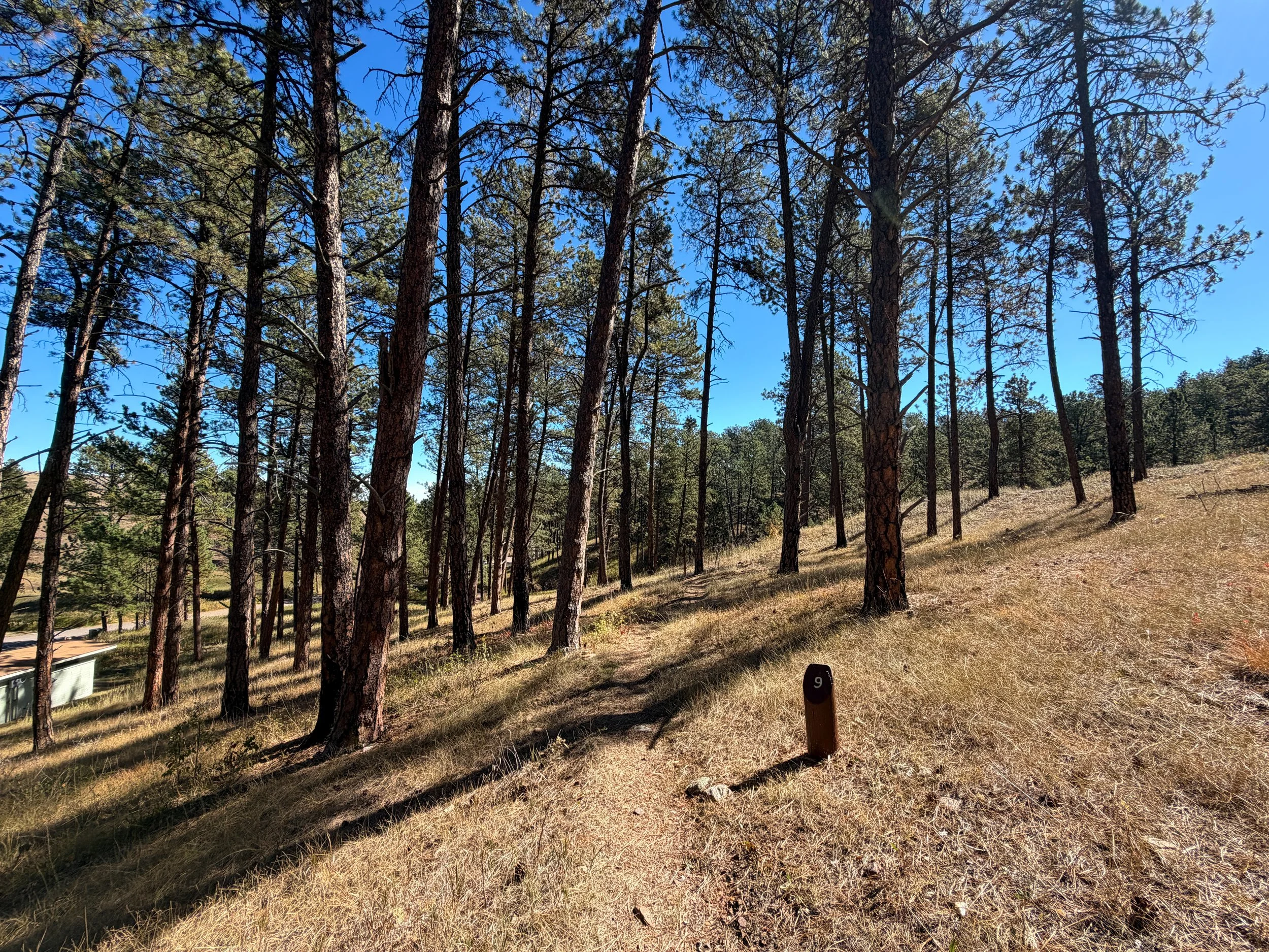 Elk Mountain Nature Trail Wind Cave National Park South Dakota