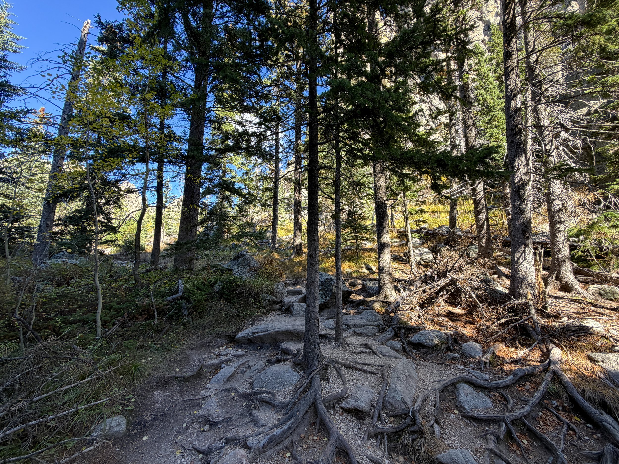 Cathedral Spires Trail Custer State Park Black Hills South Dakota