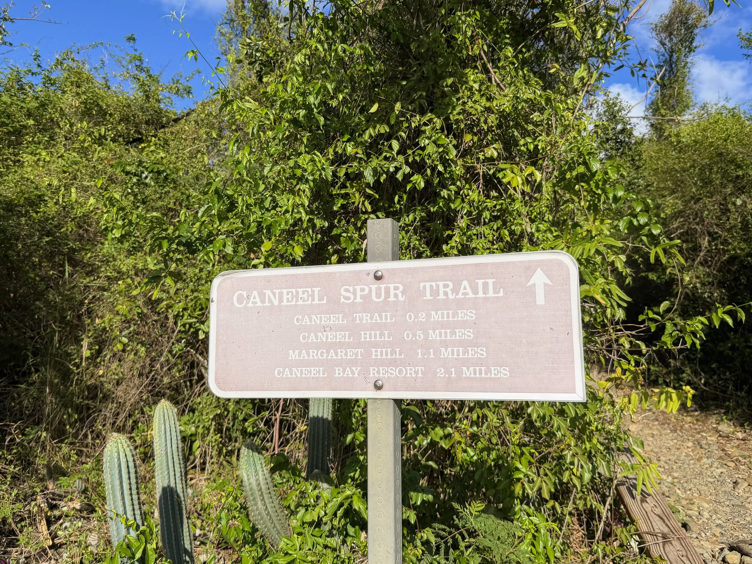 Caneel Hill Spur Trailhead Virgin Islands National Park