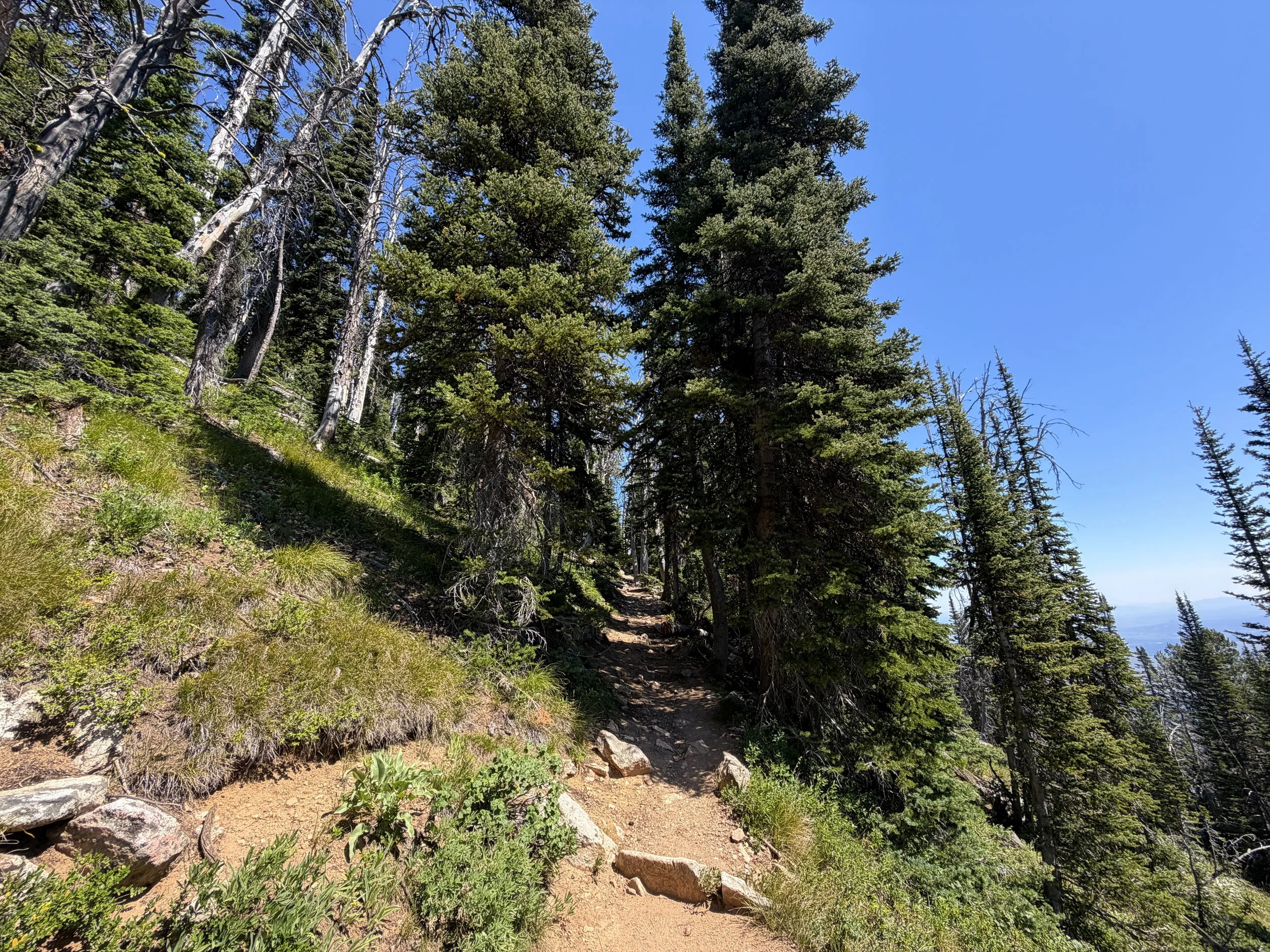 Surprise and Amphitheater Lakes Trail Grand Teton National Park Wyoming