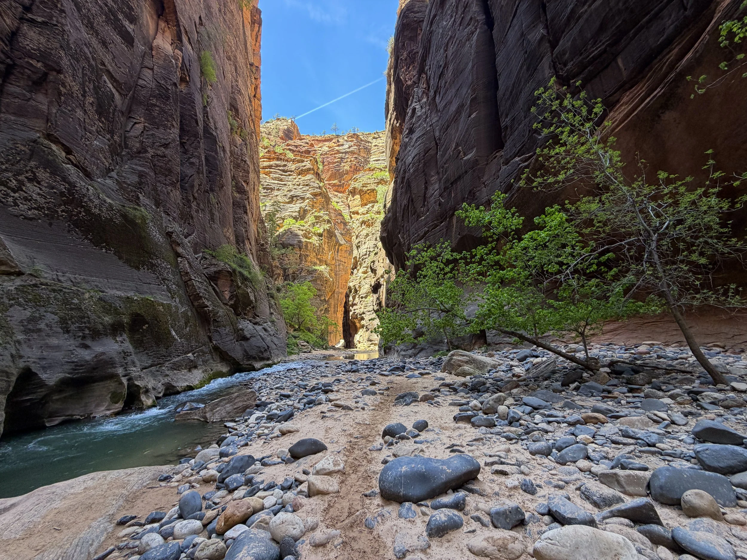 Wall Street Narrows Zion National Park Utah