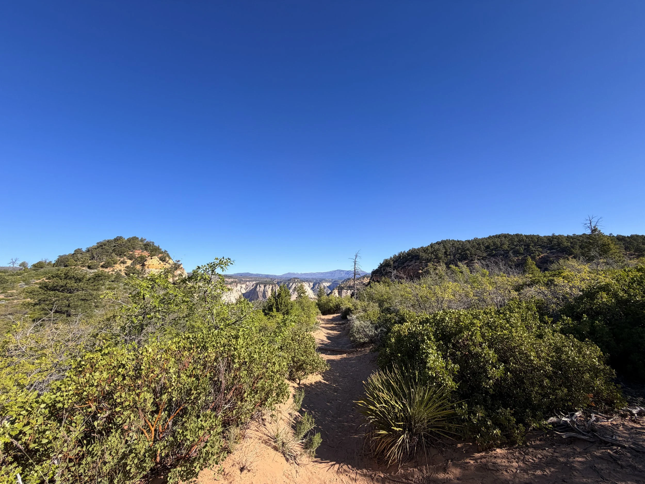 East Mesa Trail to Observation Point Trail Zion National Park Utah