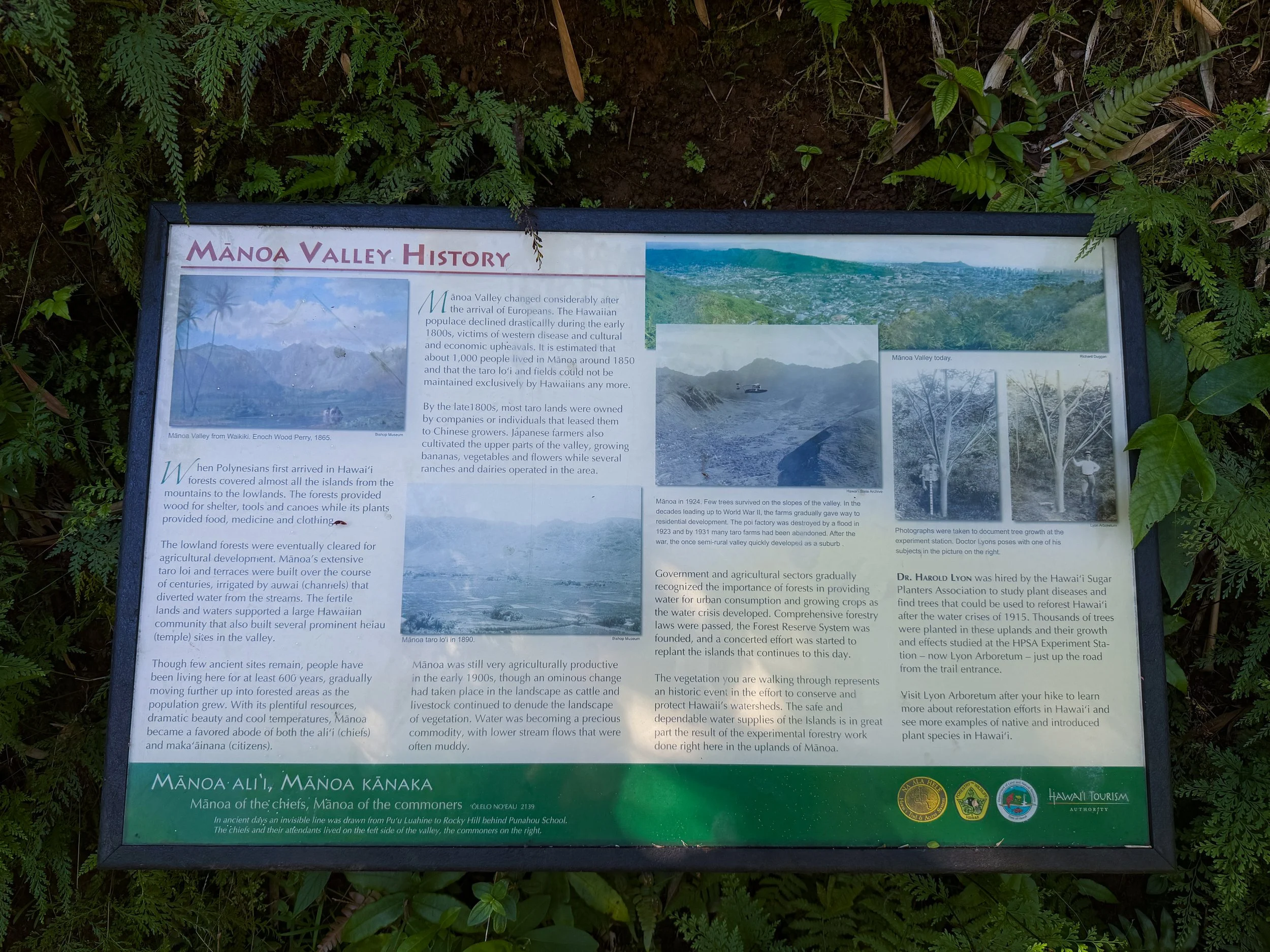 Manoa Falls Trail Oahu Hawaii