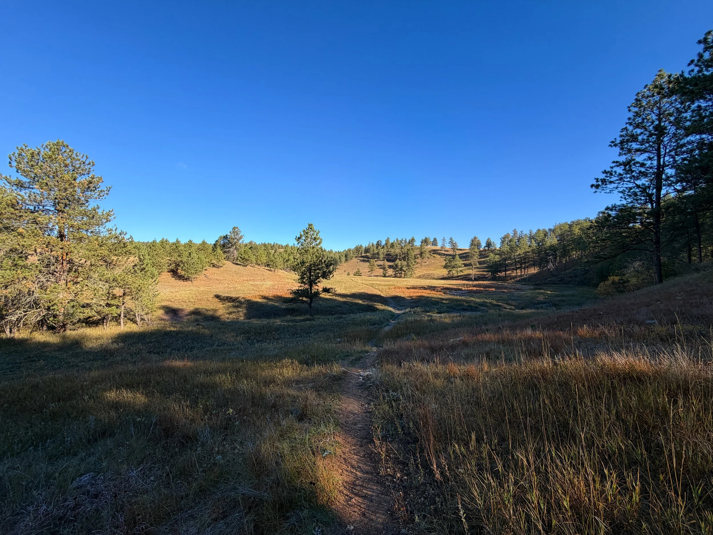Cold Brook Canyon Trail Wind Cave National Park South Dakota