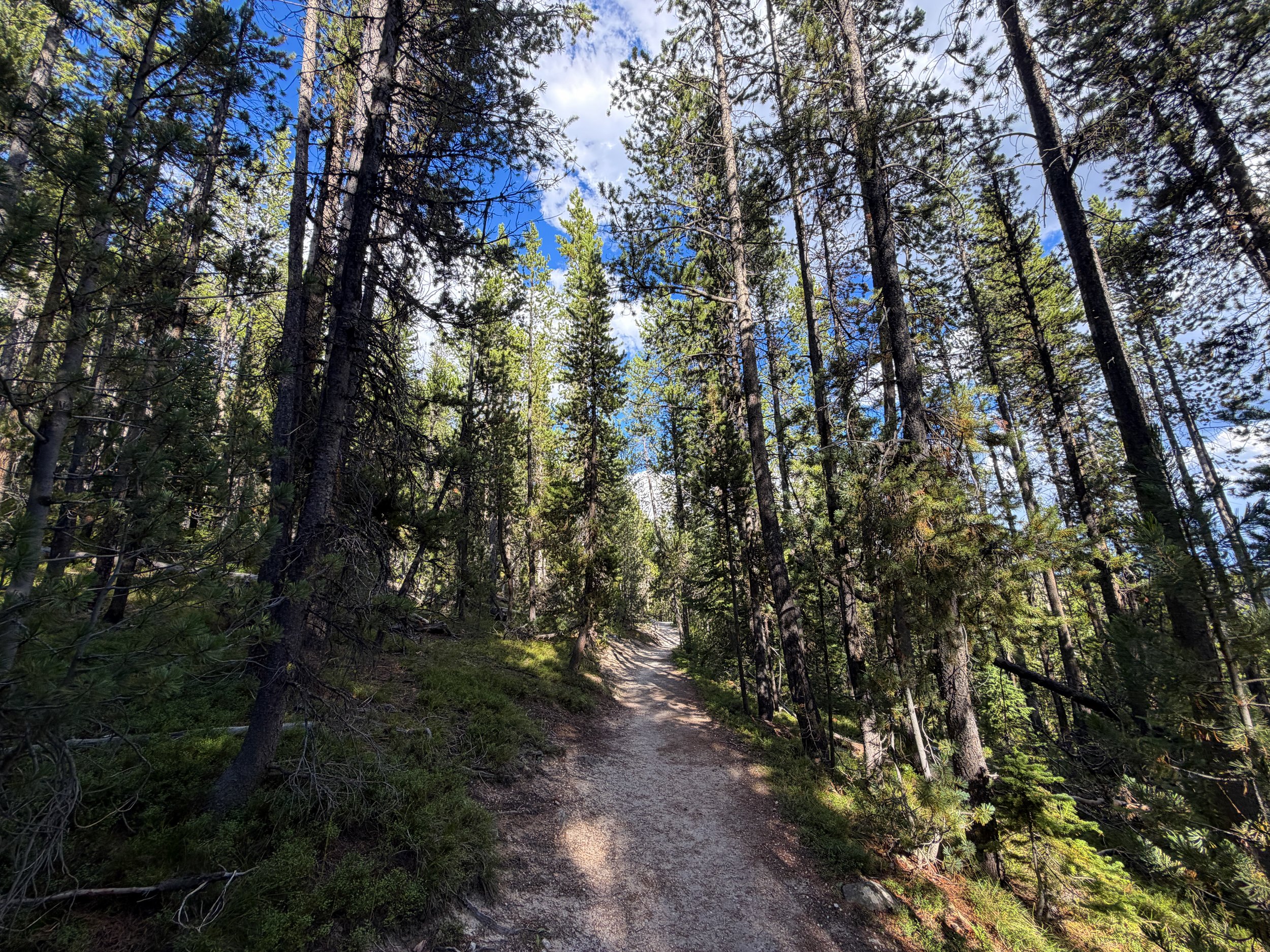 North Rim Trail Yellowstone National Park Wyoming
