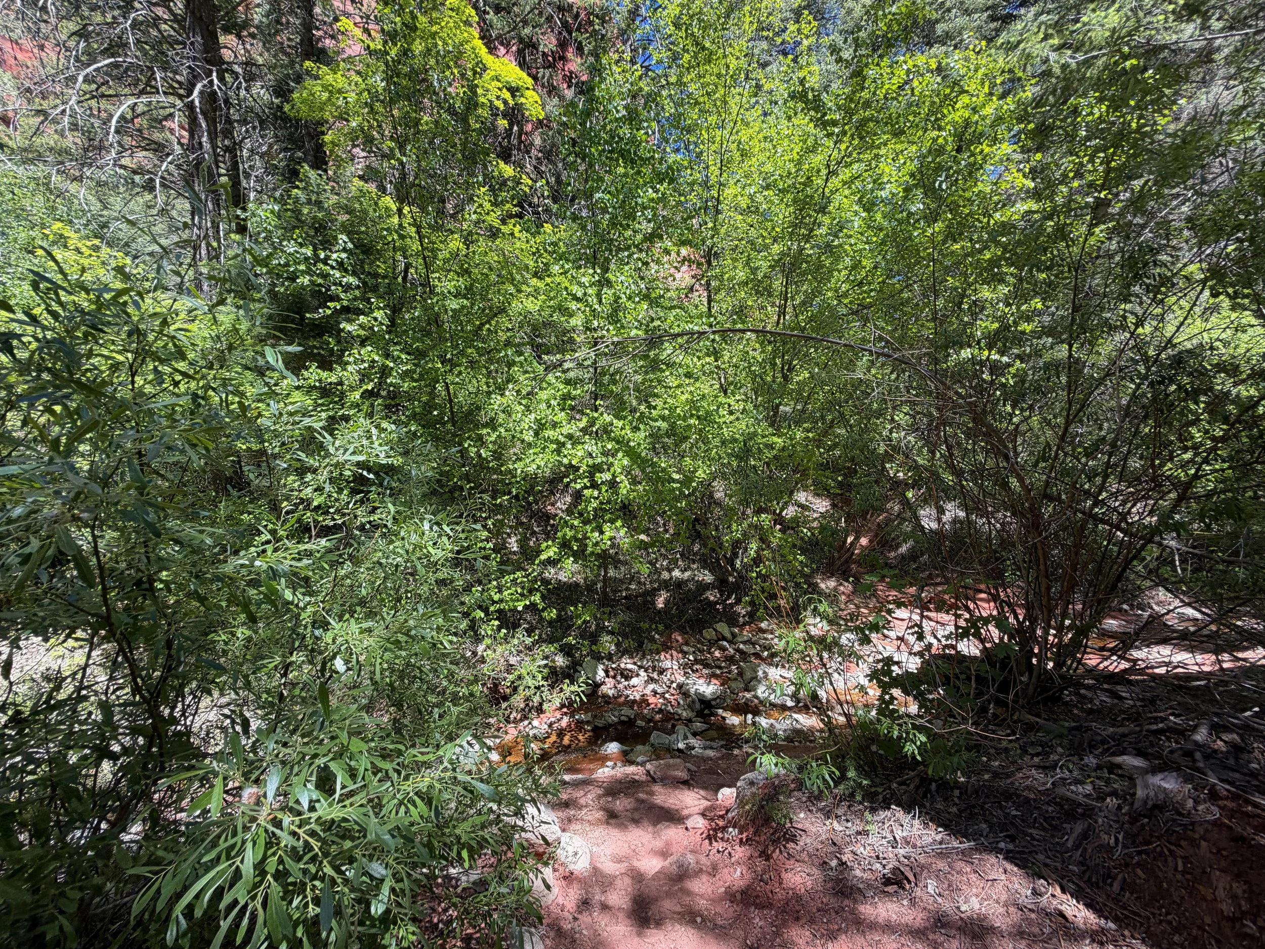 Taylor Creek Hike Zion National Park Utah