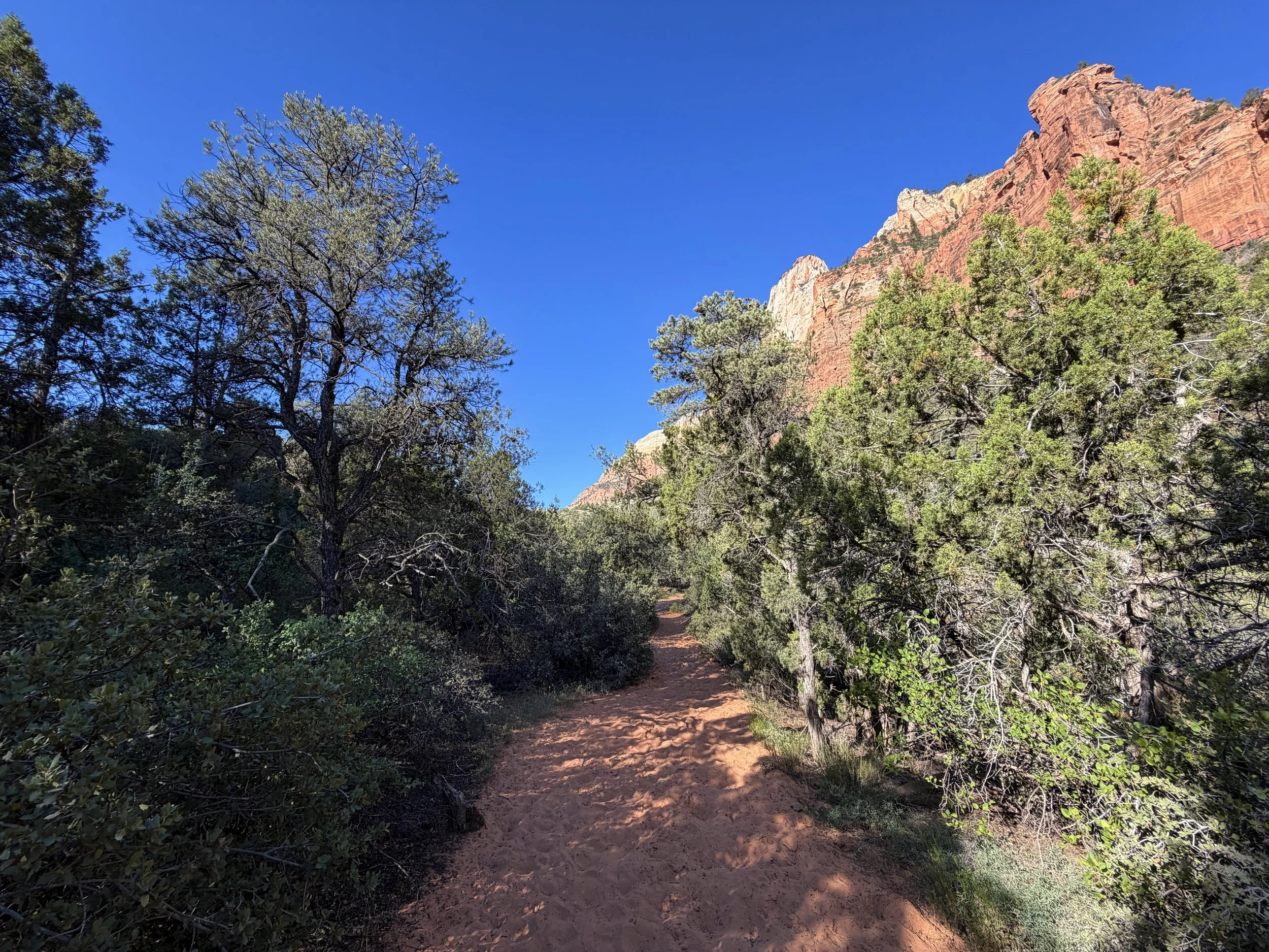 Sand Bench Loop Trail Zion National Park Utah