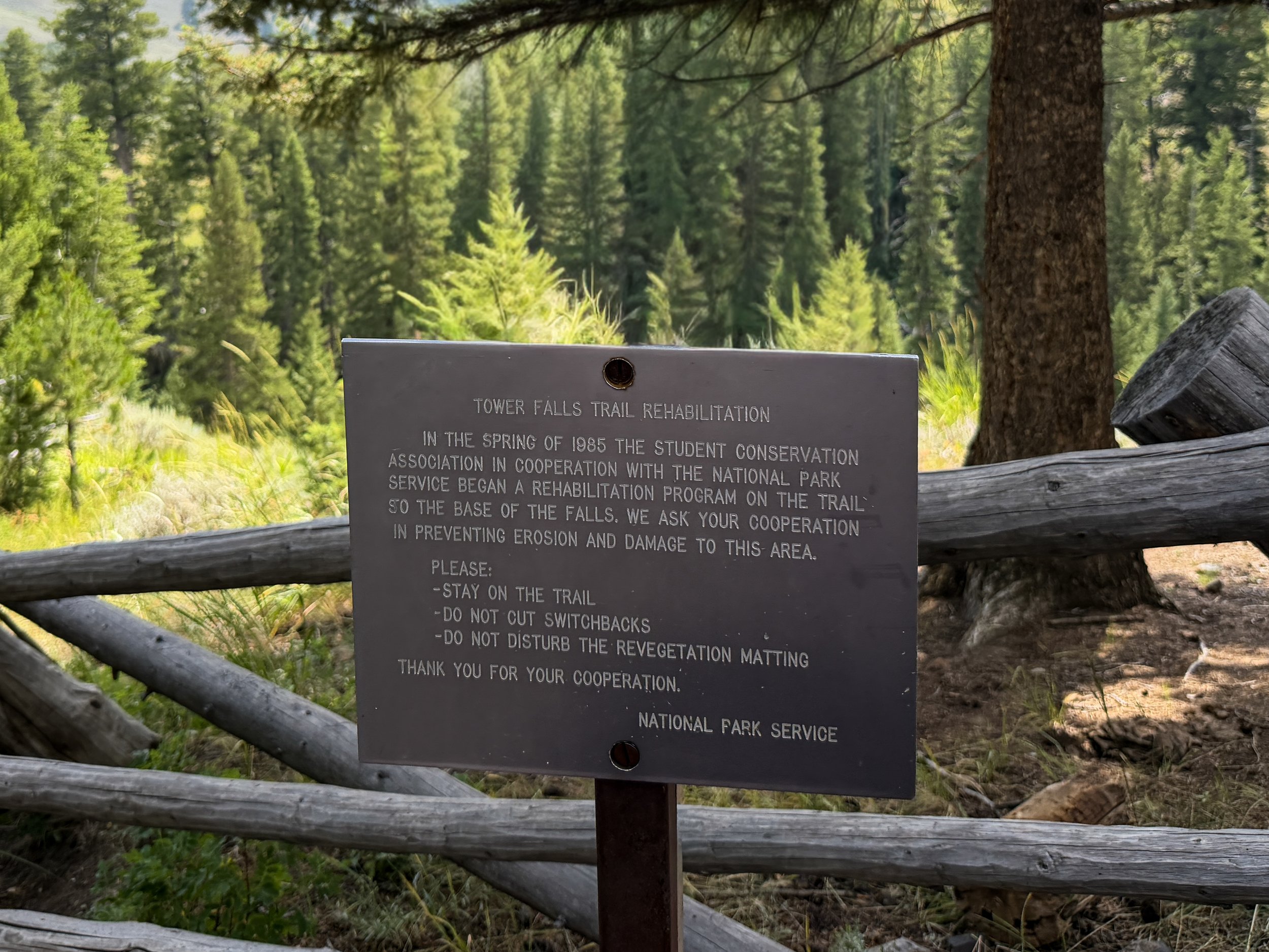 Tower Falls Trail Yellowstone National Park Wyoming