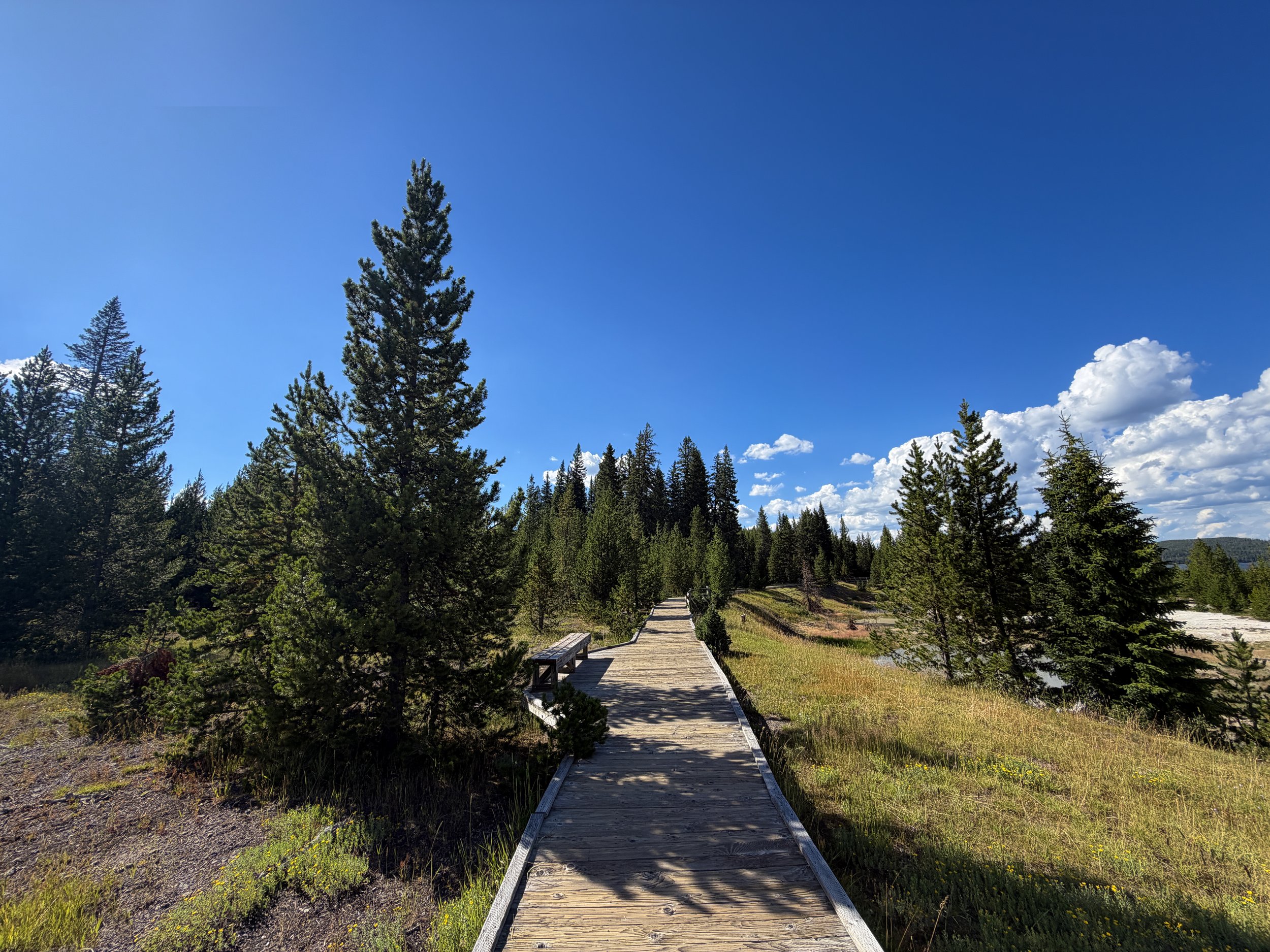 West Thumb Geyser Basin Trail Yellowstone National Park Wyoming