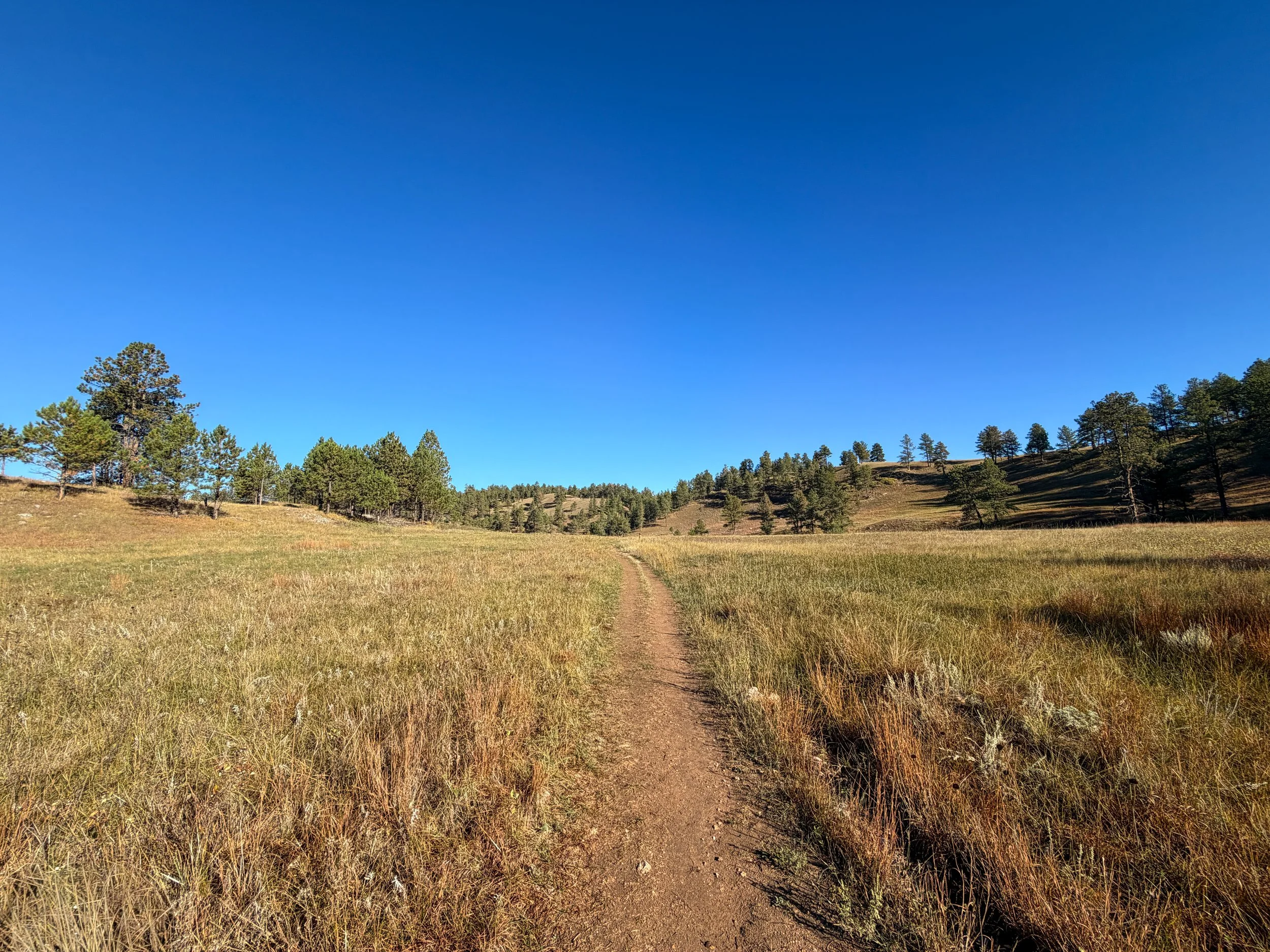 Cold Brook Canyon Trail Wind Cave National Park South Dakota
