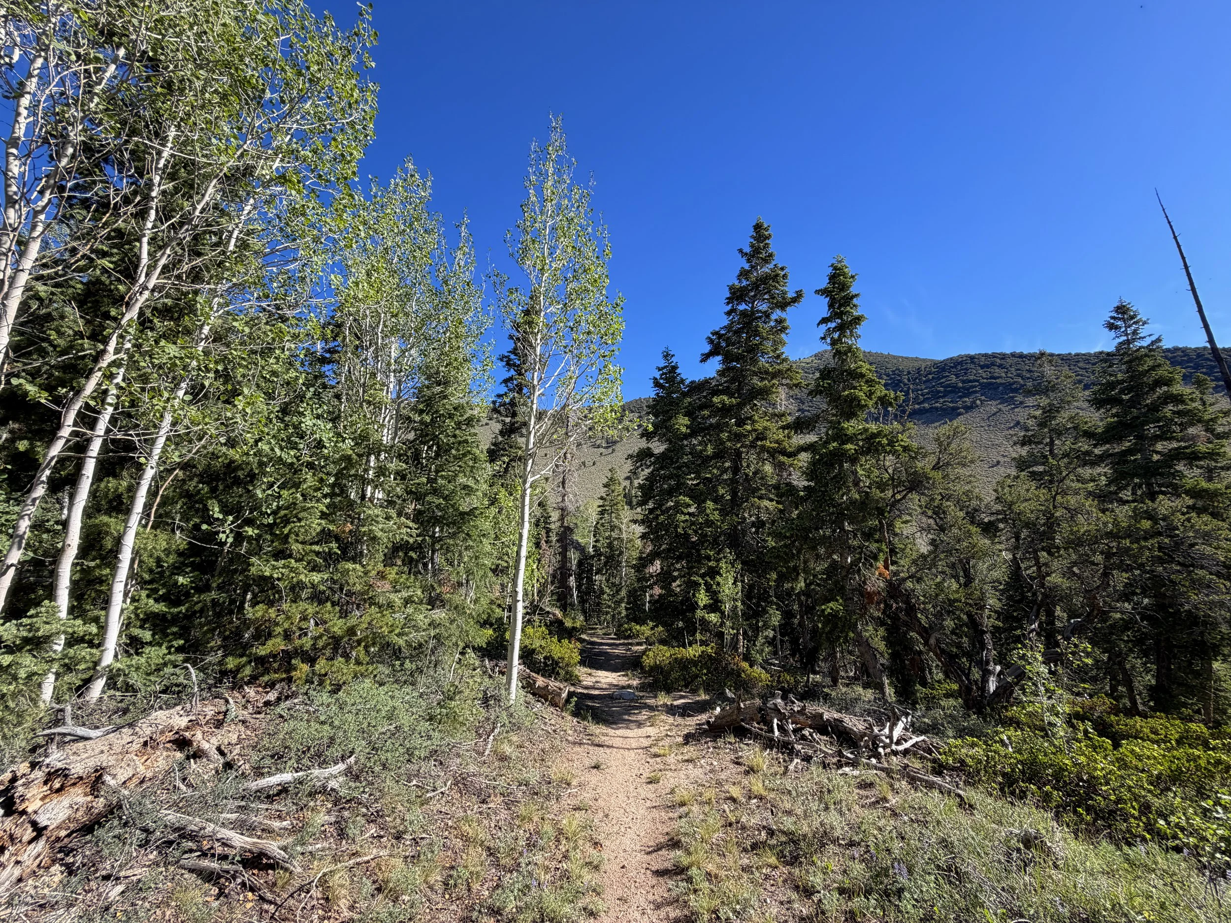 Johnson Lake Hike Great Basin National Park Nevada
