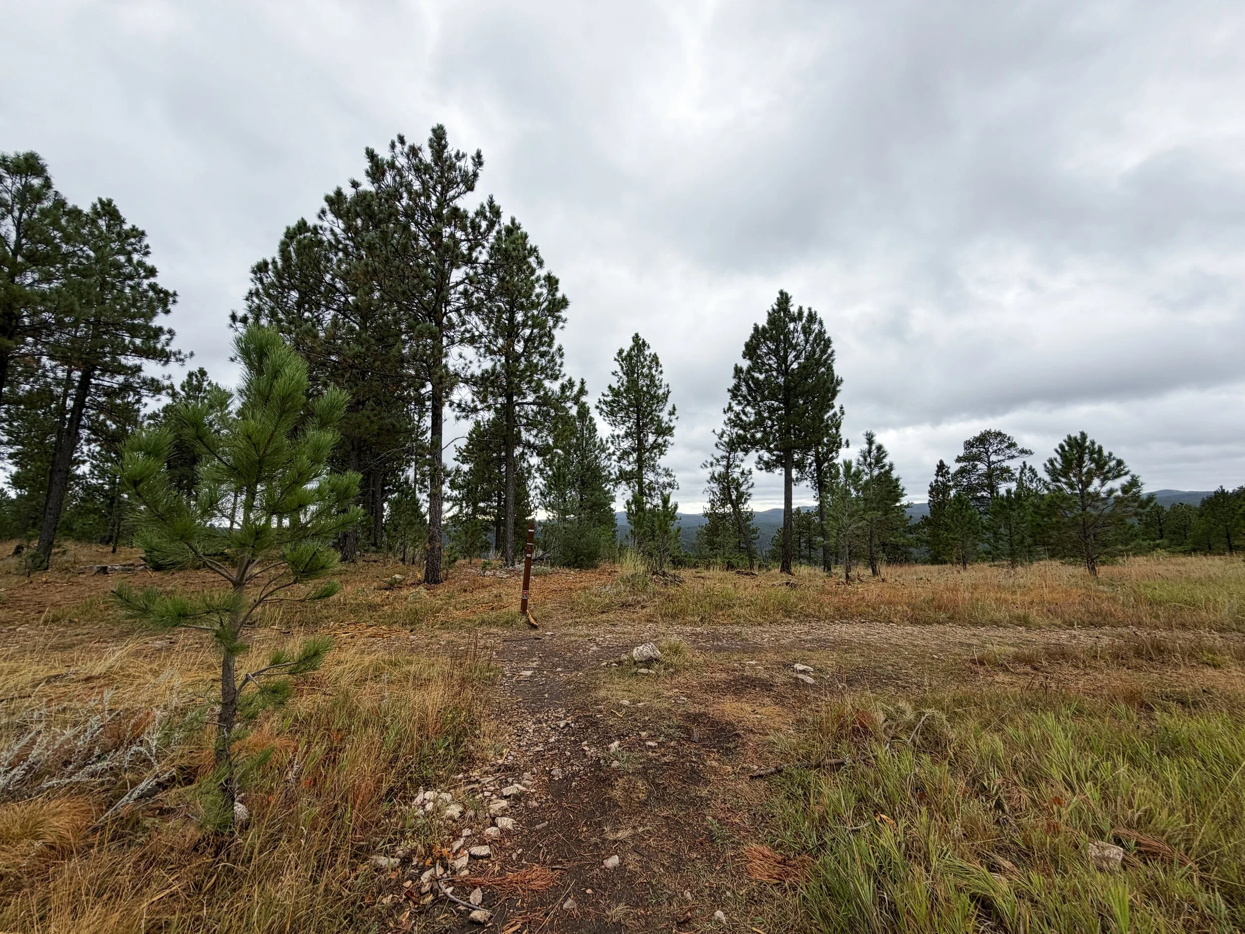 Buzzards Roost Hike Black Hills Rapid City South Dakota