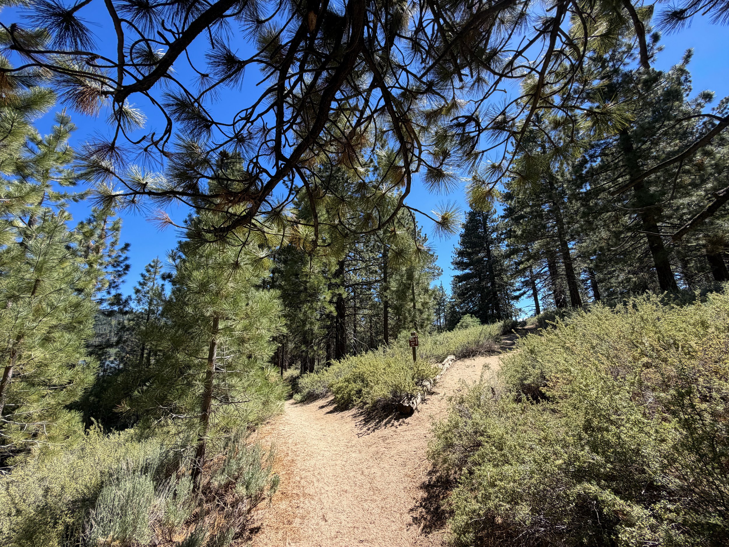 Spooner Lake Loop Trail Lake Tahoe Nevada