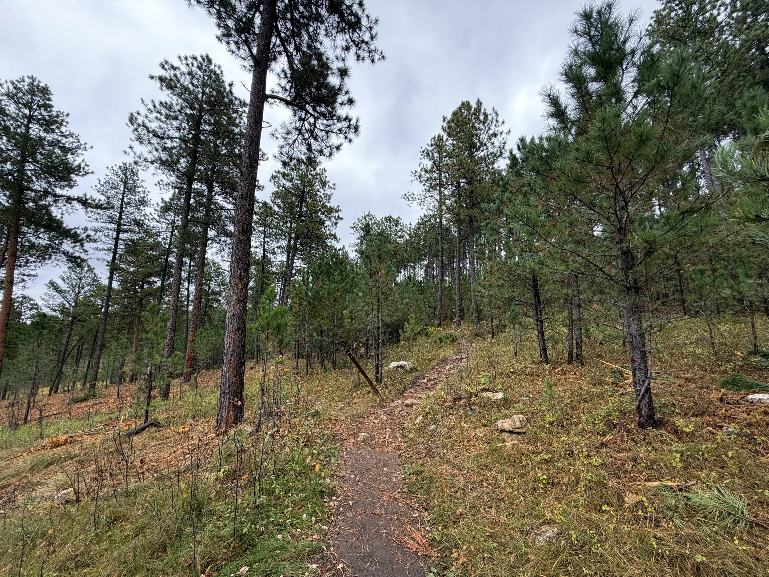 Buzzards Roost Hike Black Hills South Dakota
