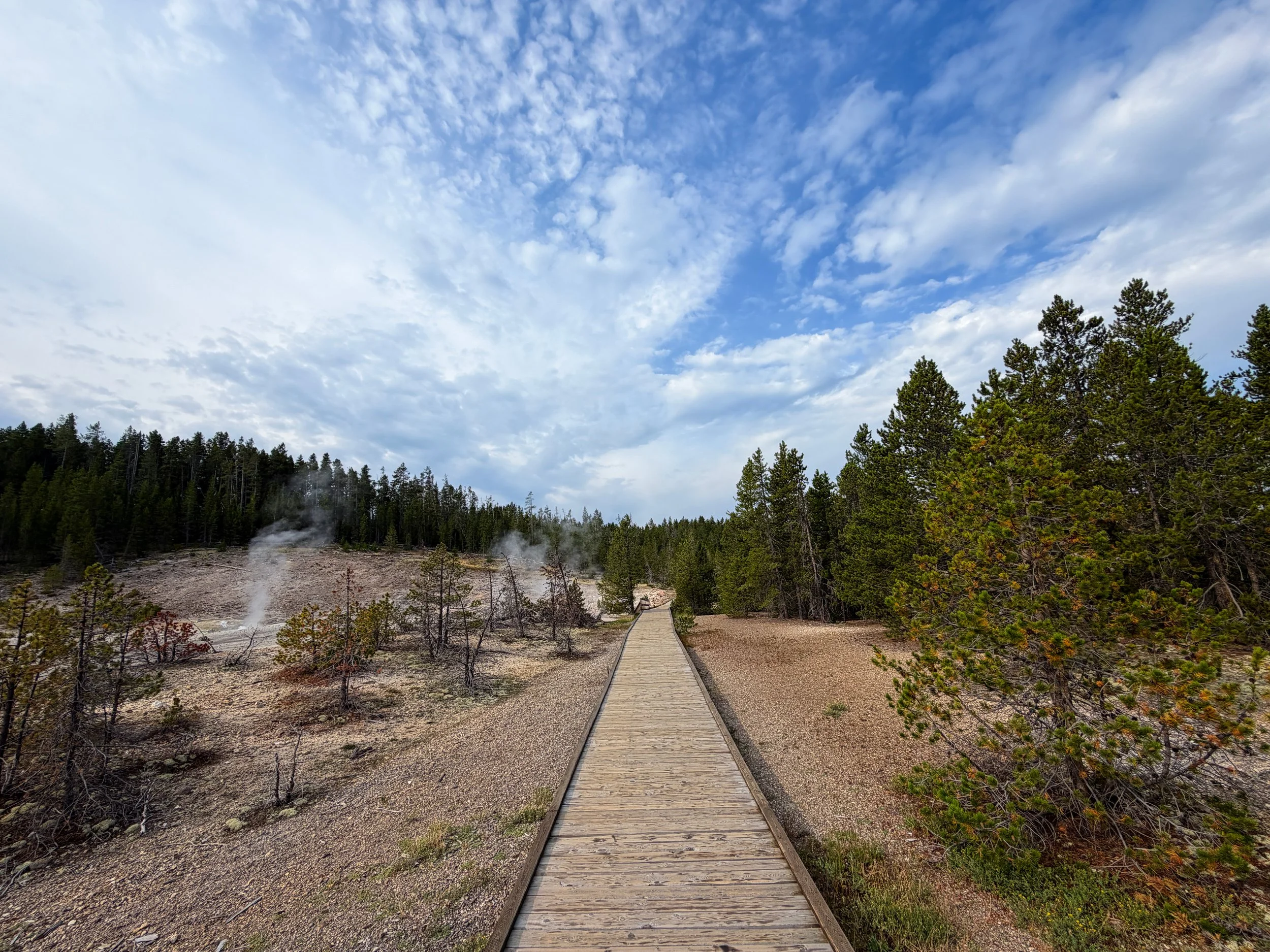 Norris Geyser Basin Trail Yellowstone National Park Wyoming