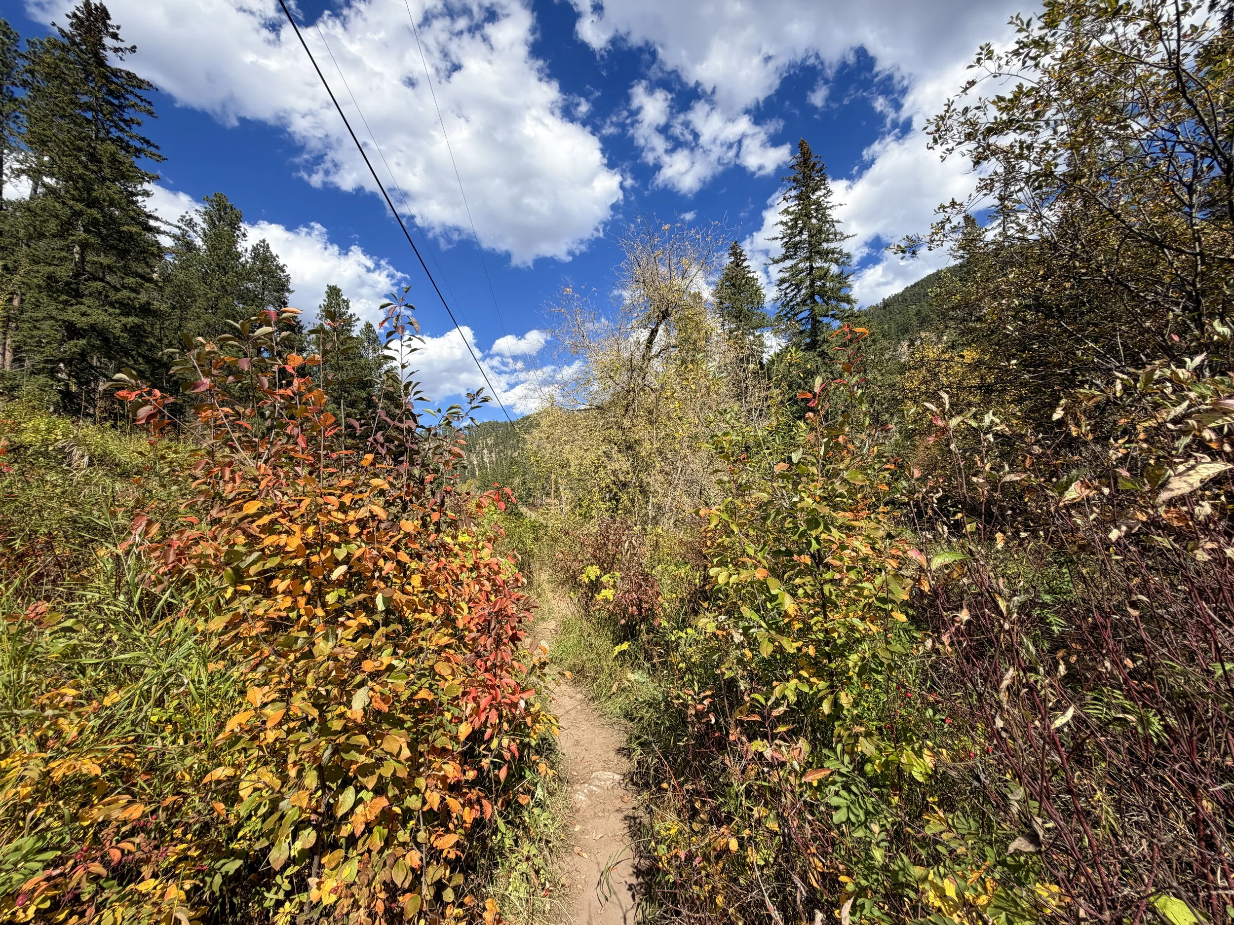 Devils Bathtub Trail Spearfish Canyon Black Hills South Dakota
